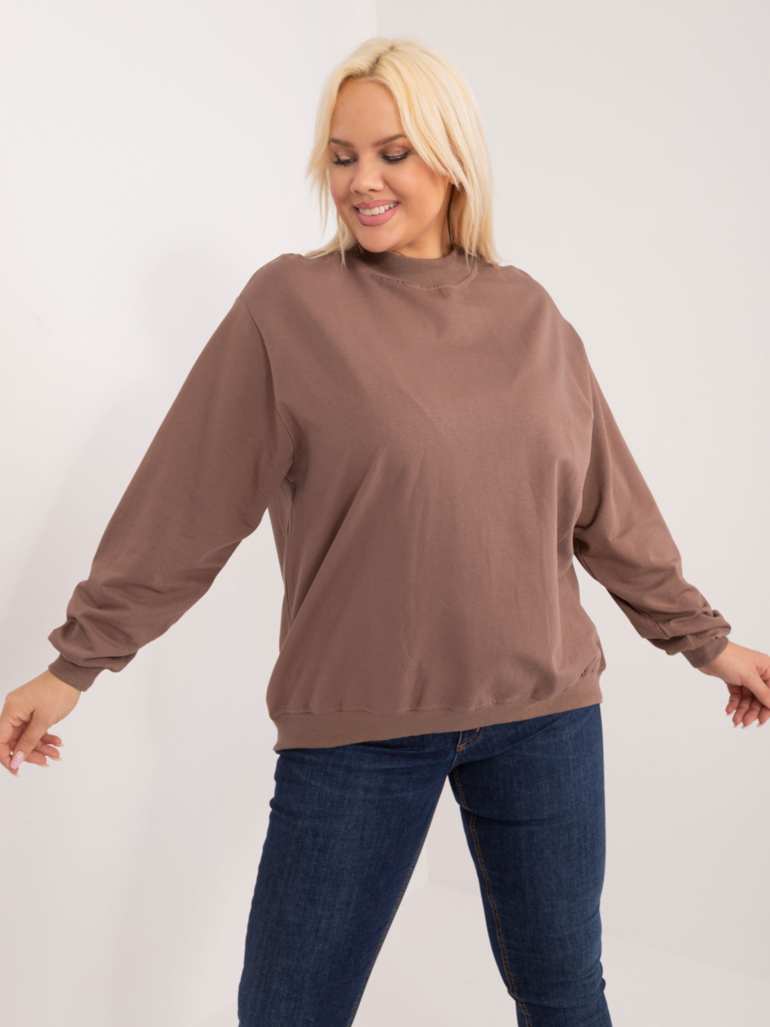 Sweatshirt-RV-BL-6299.11-brown