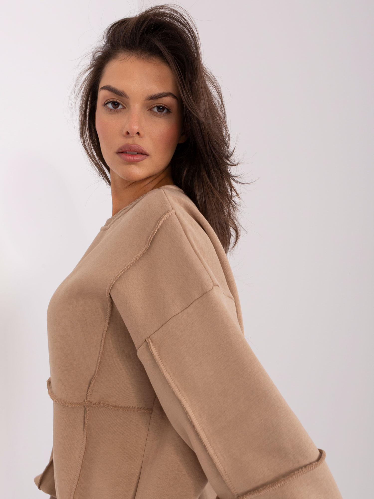 Sweatshirt-EM-BL-763.00P-dark beige