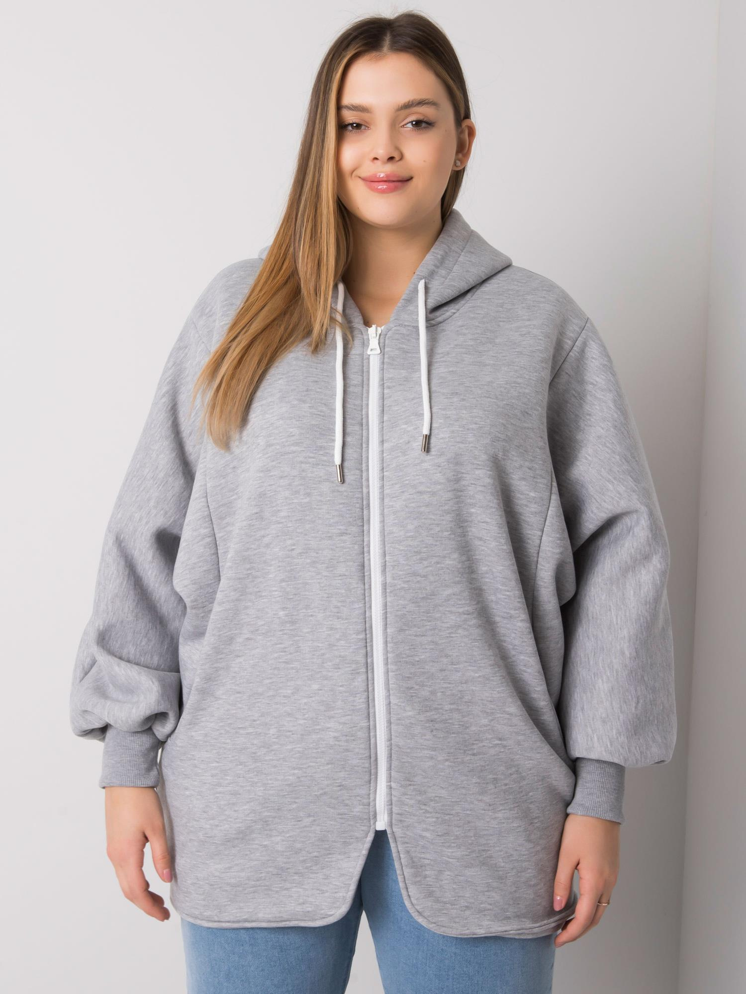 Sweatshirt-RV-BL-7282.22P-grey