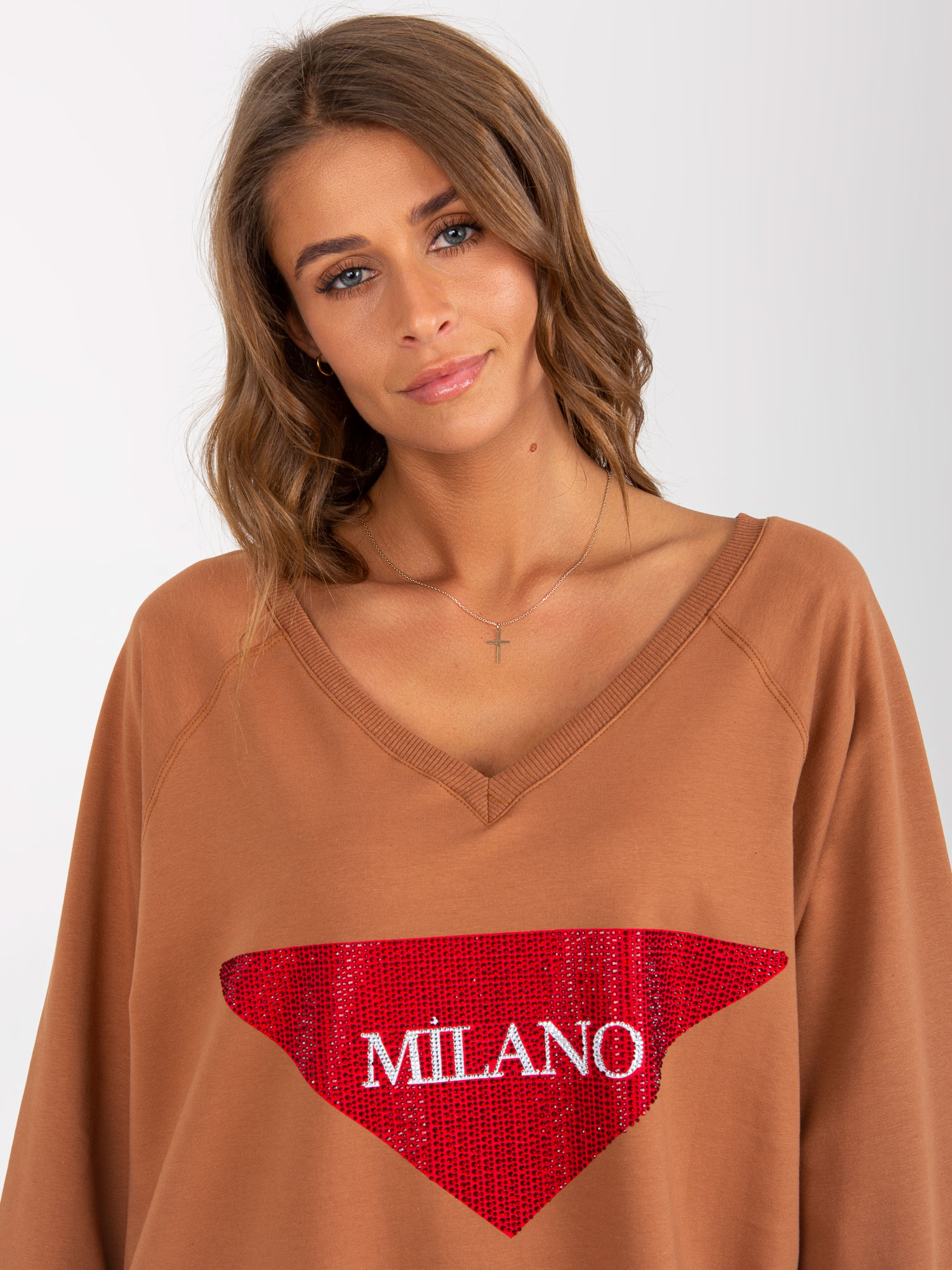 Sweatshirt-VI-BL-3113.73P-light brown