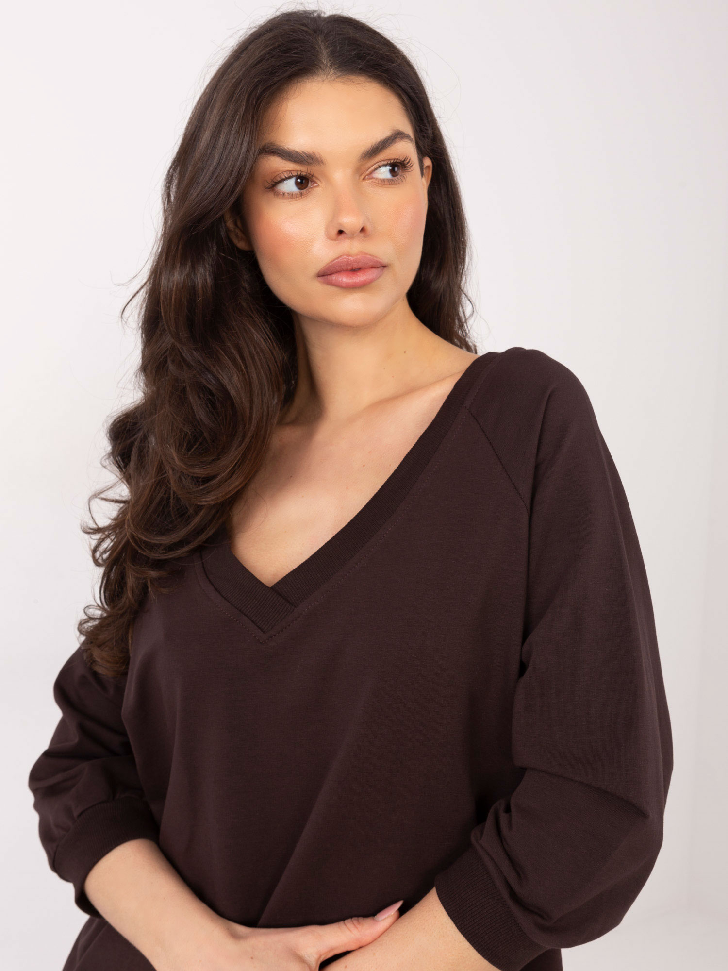 Sweatshirt-RV-BL-5676.09-dark brown