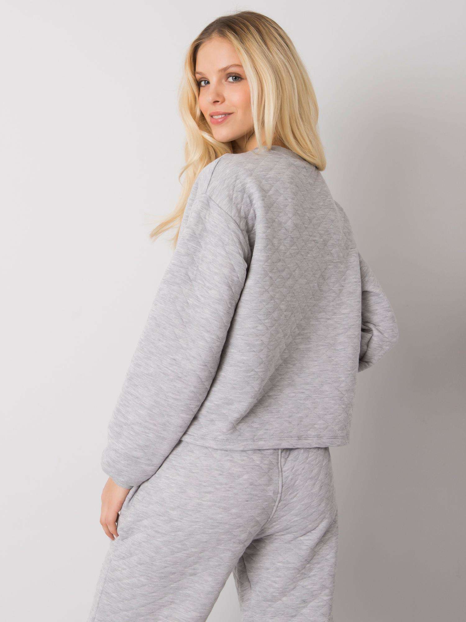 Sweatshirt-RV-BL-7446.99-gray