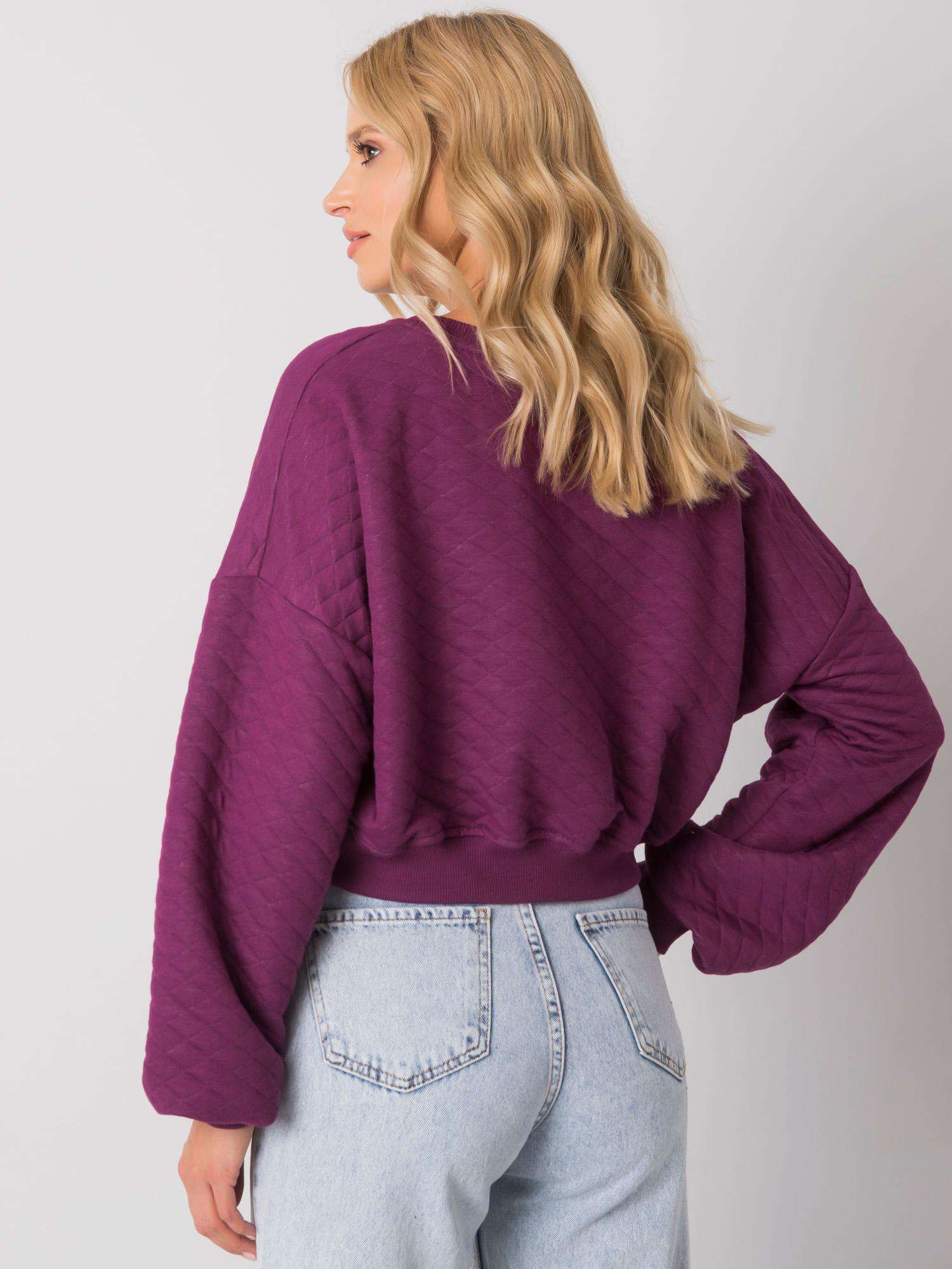 Sweatshirt-RV-BL-7450.64-dark purple