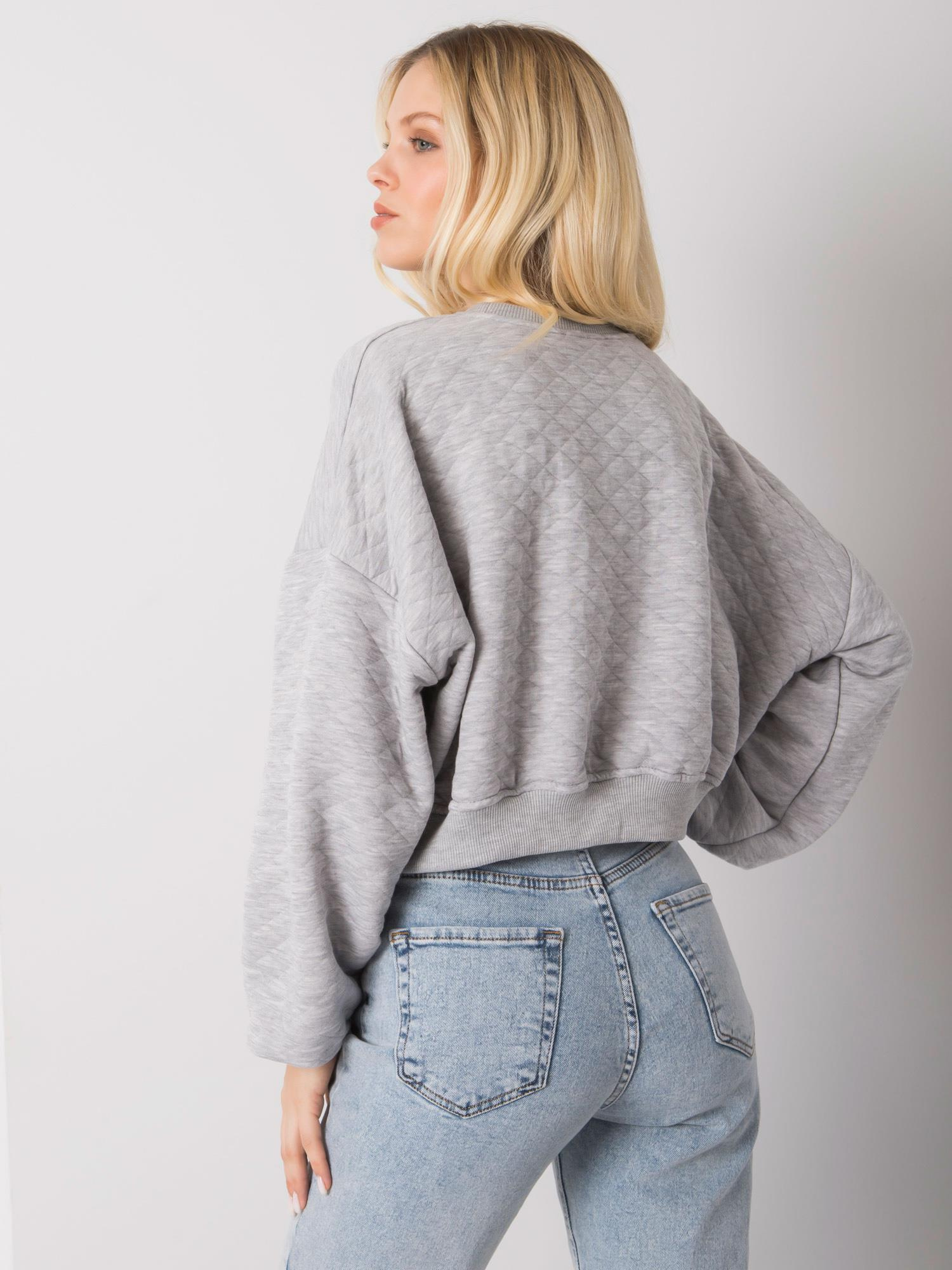 Sweatshirt-RV-BL-7450.64-gray