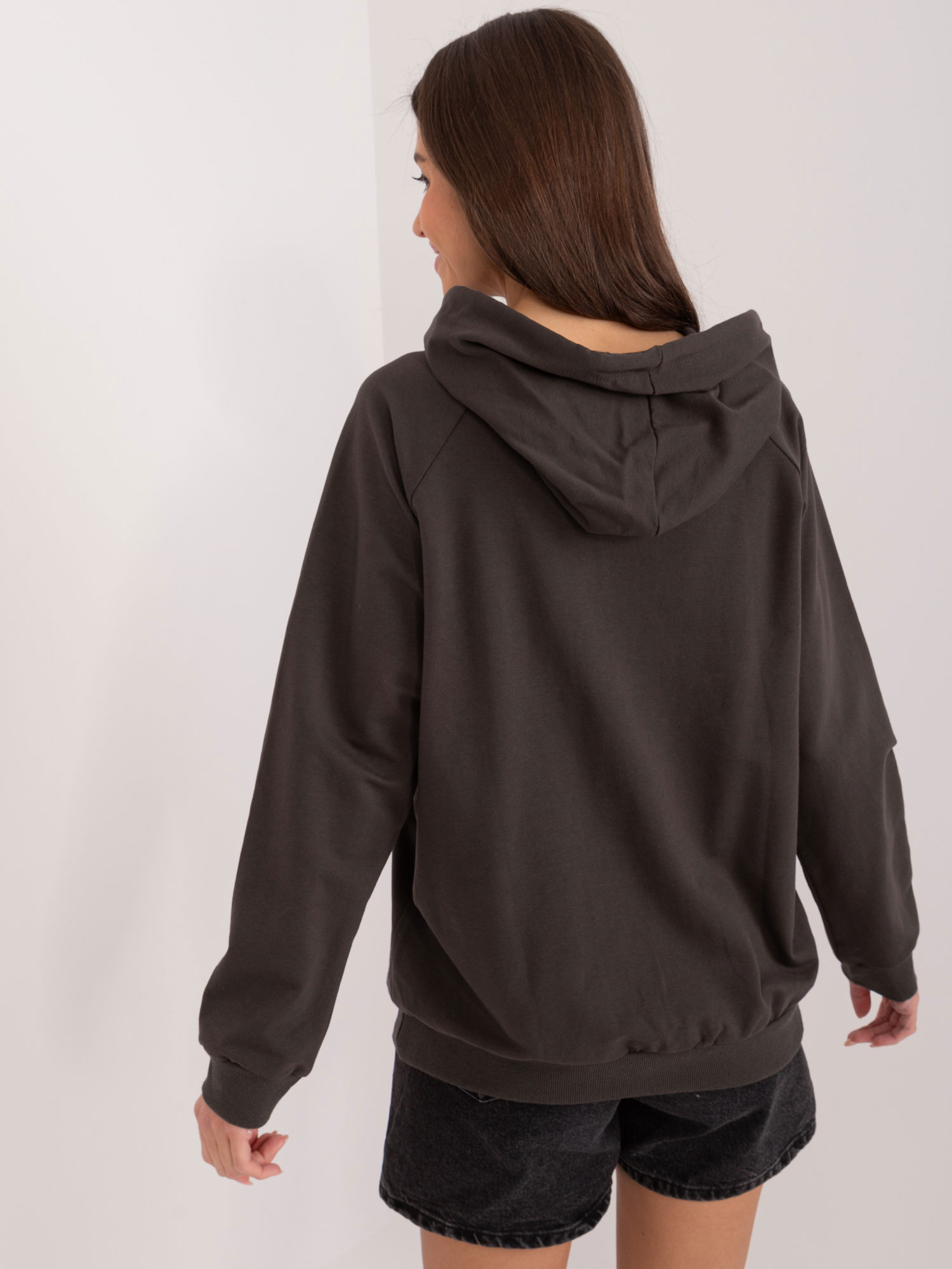 Sweatshirt-RV-BL-8200.36-dark khaki