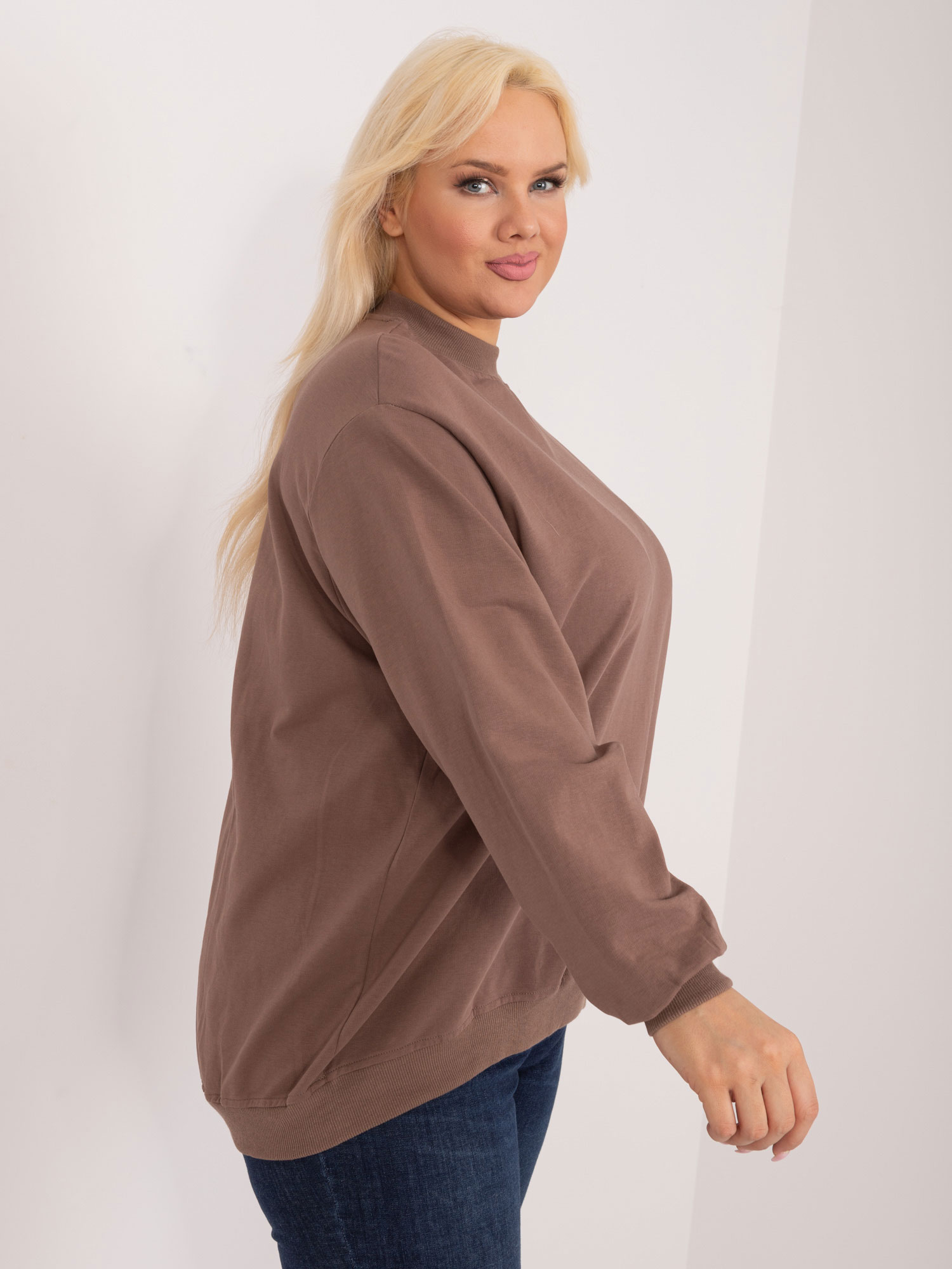Sweatshirt-RV-BL-6299.11-brown