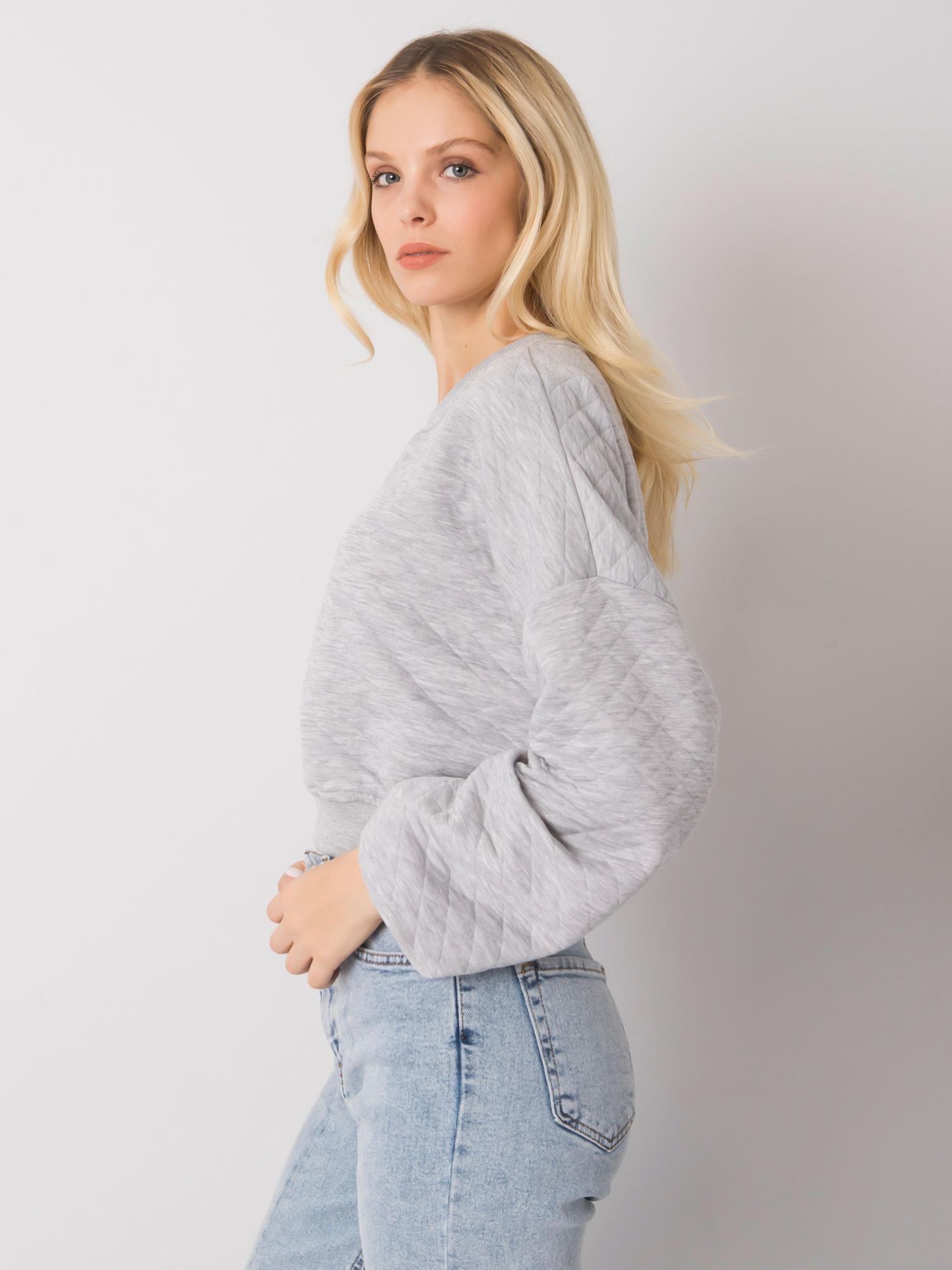 Sweatshirt-RV-BL-7450.64-gray