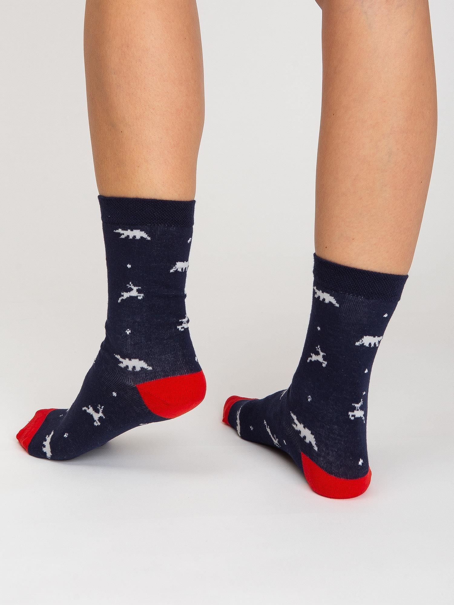 Socks-WS-SR-5637-multicolor