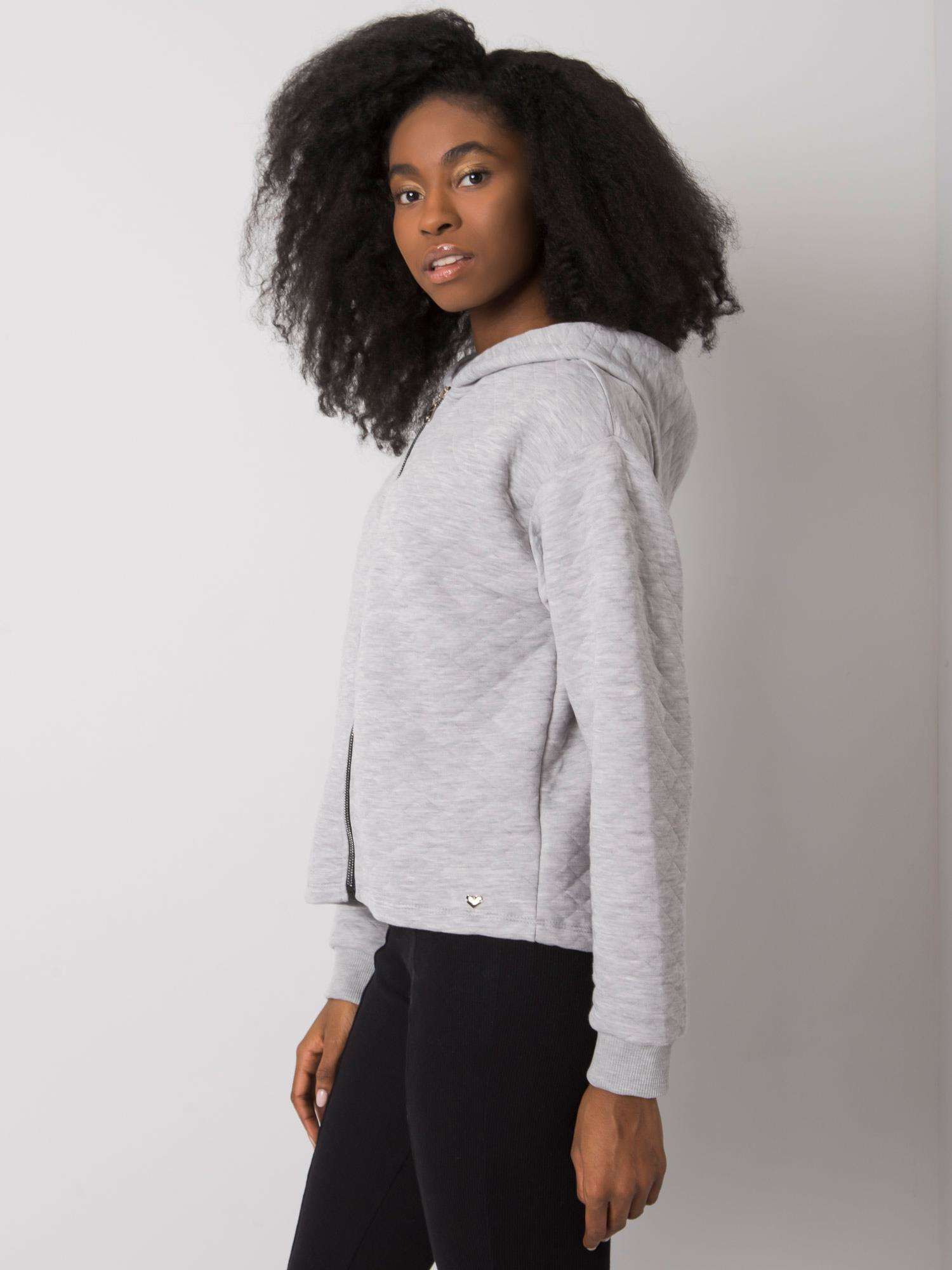 Sweatshirt-RV-BL-7449.66-gray