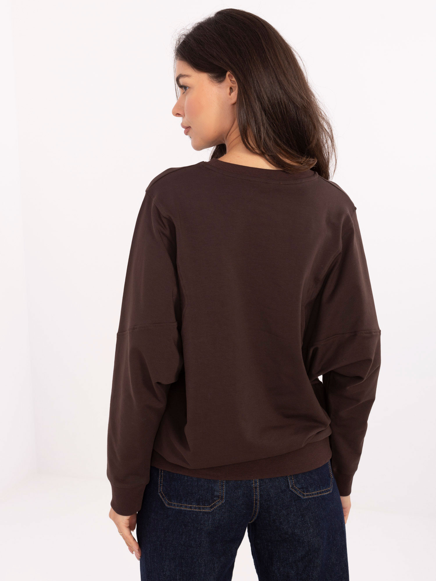 Sweatshirt-RV-BL-A877.19P-dark brown