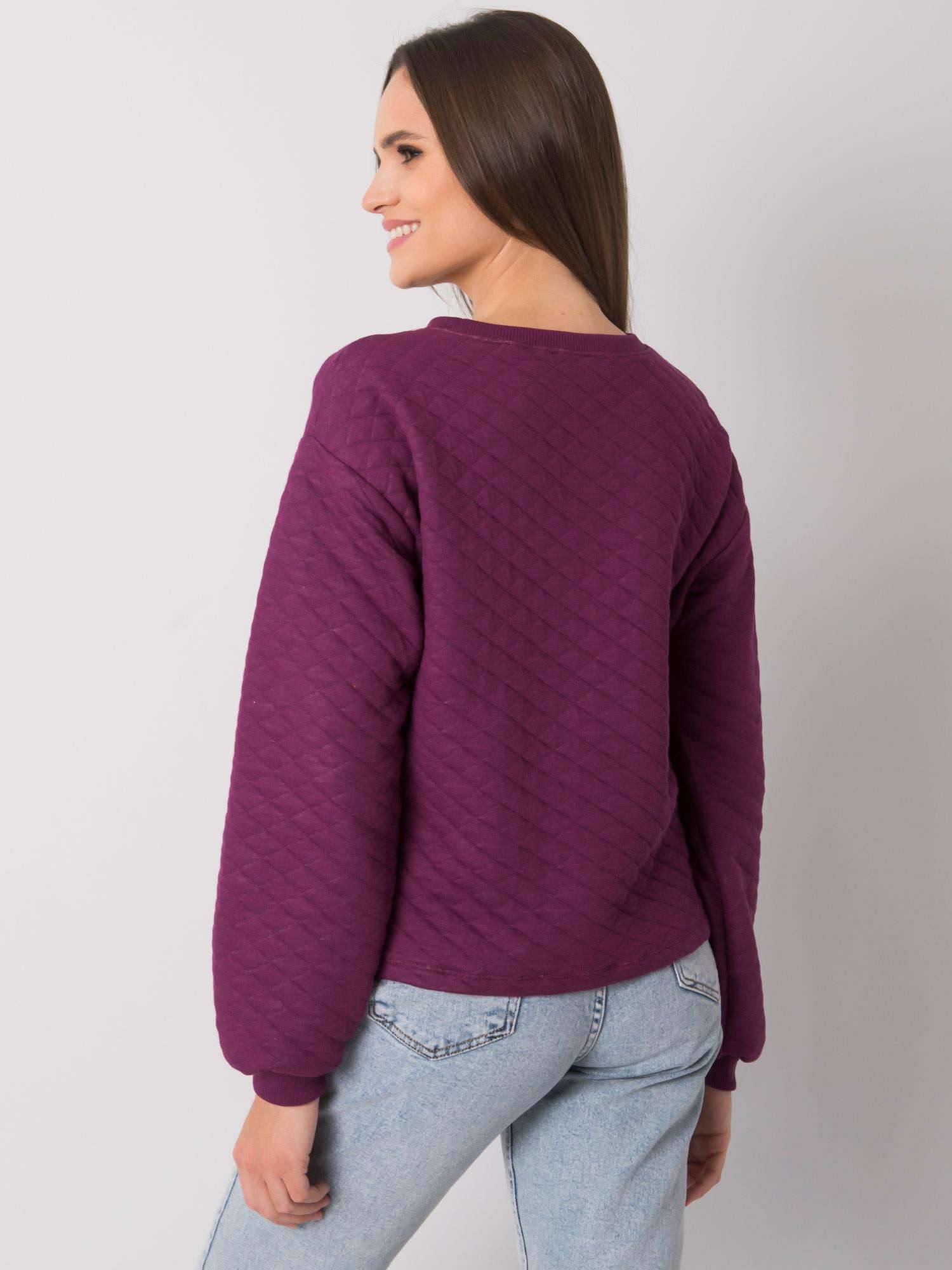 Sweatshirt-RV-BL-7446.99-dark purple