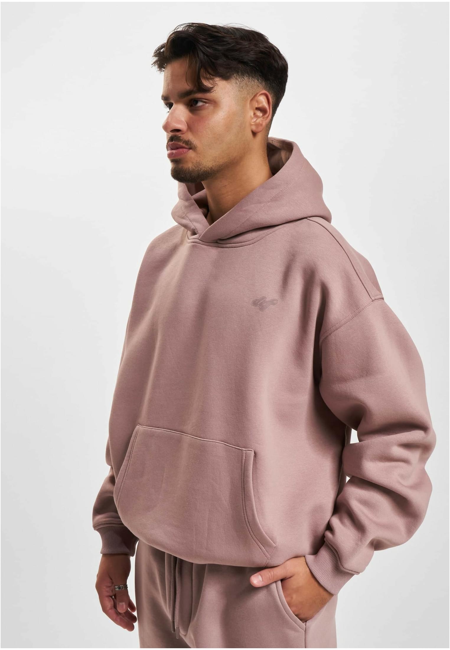 Men&#039;s sweatshirt FRANK Hoody powder