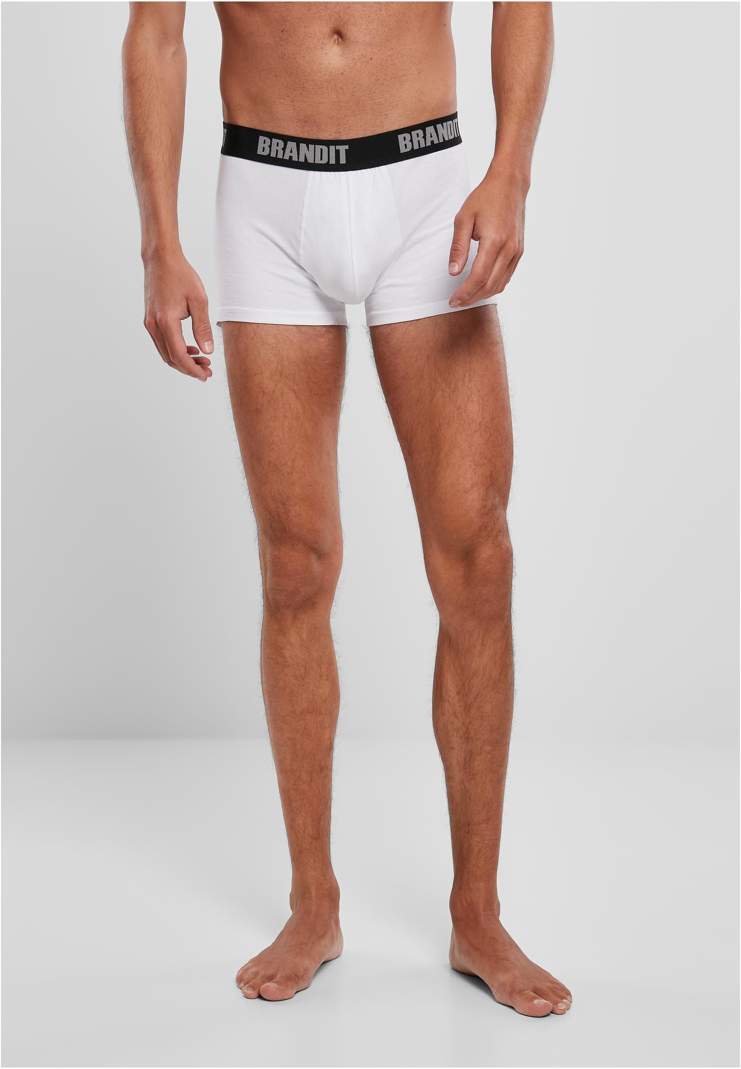 Boxer Shorts Logo 2er Pack Wht/blk