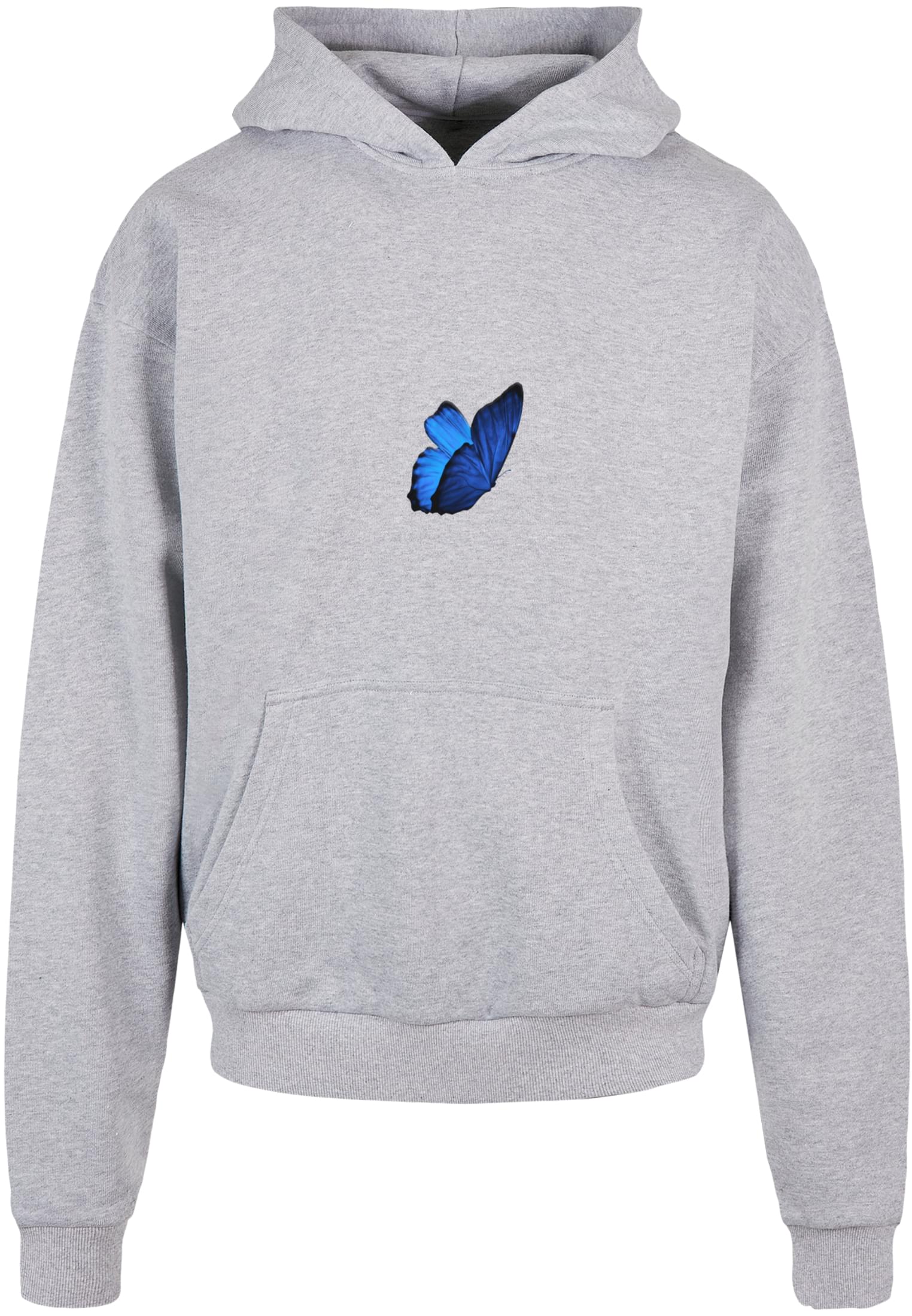 Le Papillon Heavy Oversize Hoody gray
