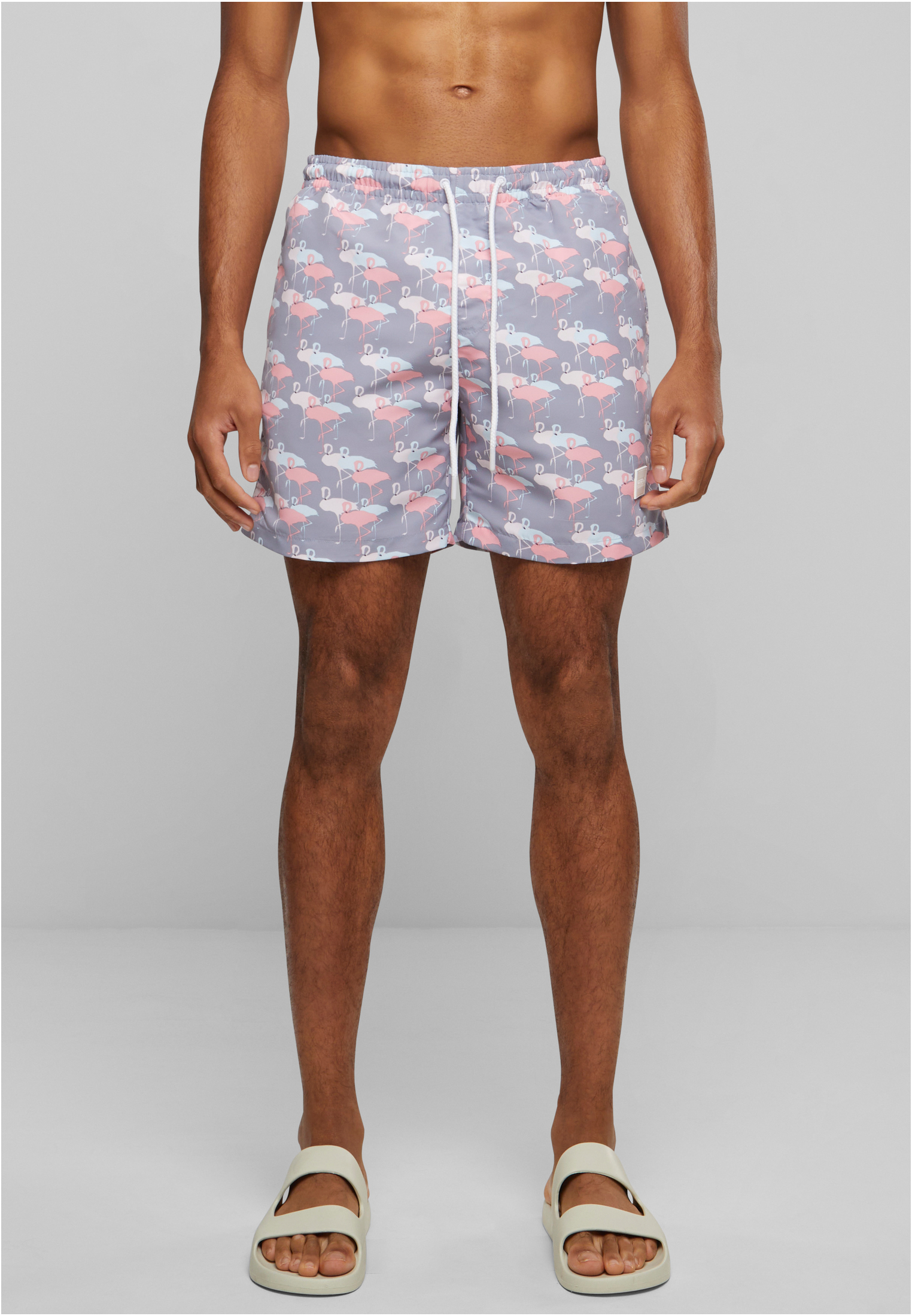 Pattern Swimsuit Shorts Flamingo Aop