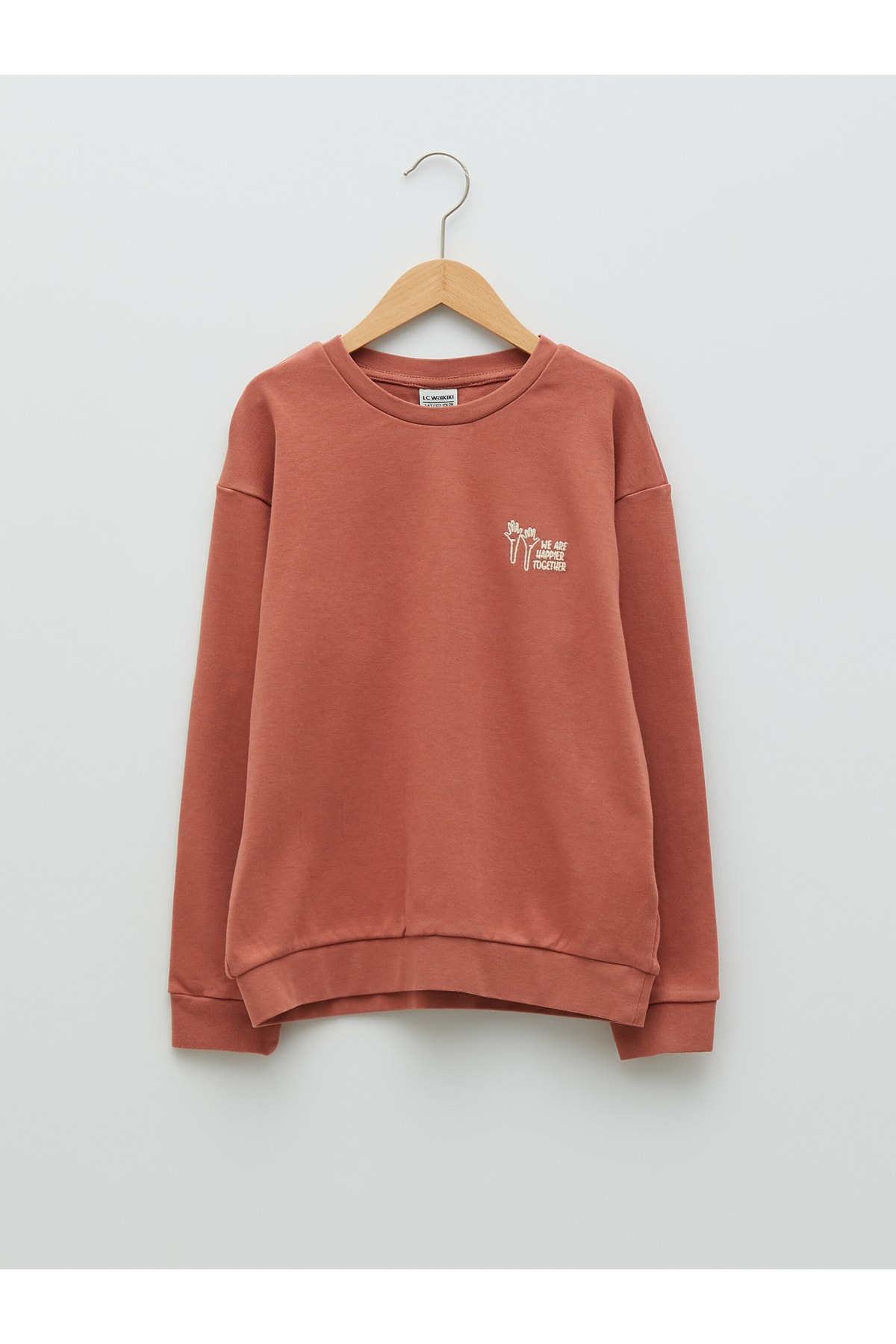 LC Waikiki Crew Neck Long Sleeve Boys Sweatshirt with Embroidery Detail.