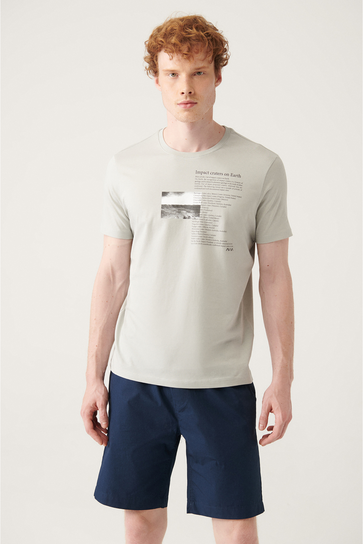 Levně Avva Men's Light Gray Crew Neck Printed T-shirt A21y1153