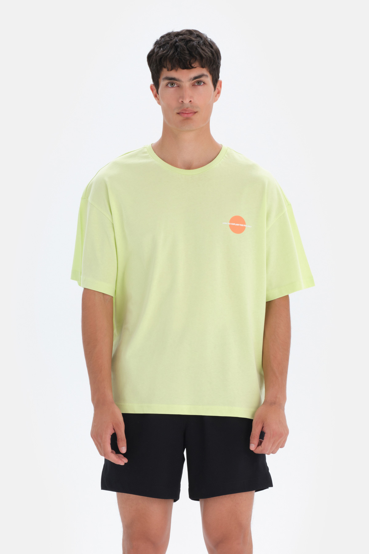 Dagi Men's Light Green Mountain Back Mountain Printed T-Shirt