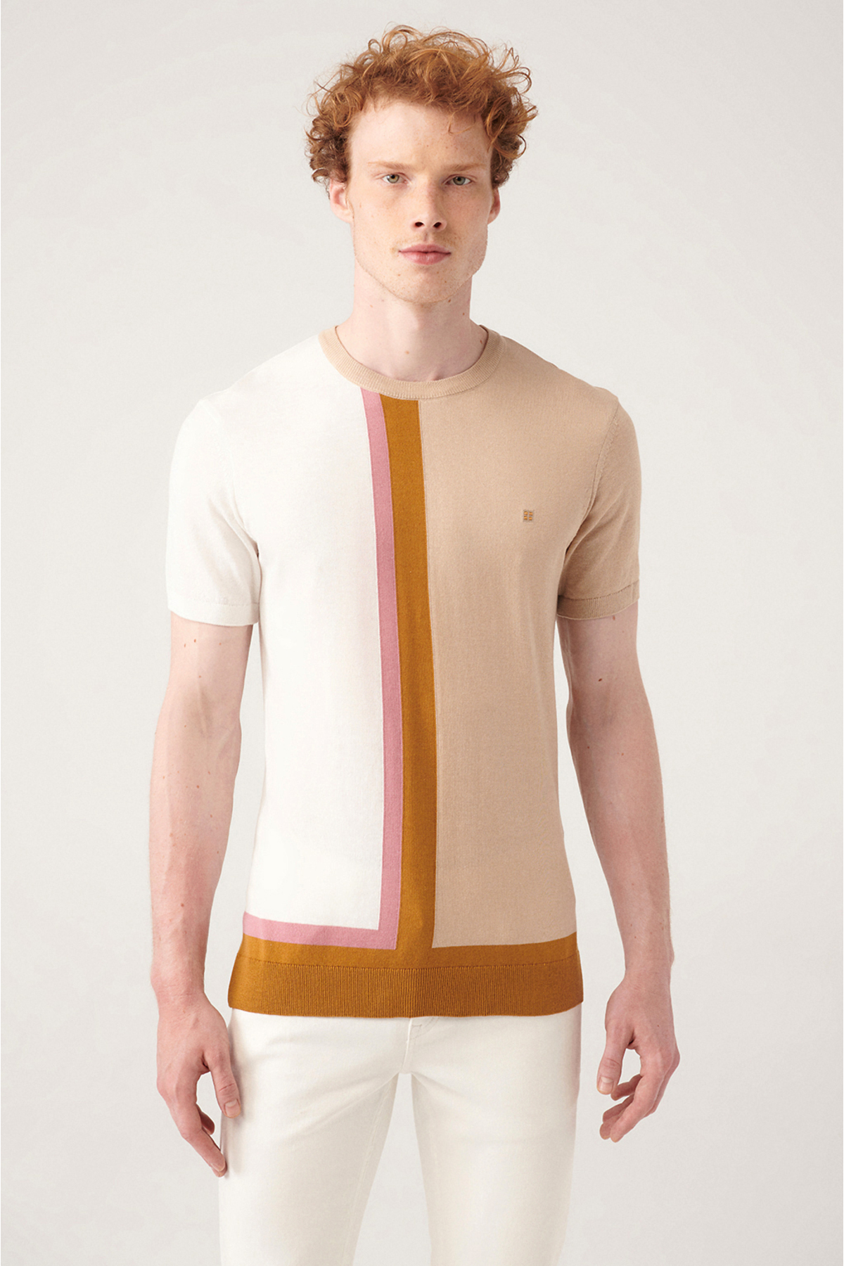 Levně Avva Men's Beige Crew Neck Color Block Ribbed Standard Fit Regular Cut Knitwear T-shirt