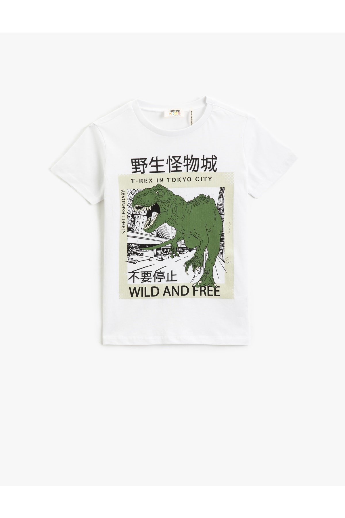 Koton Dinosaur Print Short Sleeve T-Shirt. Crewneck Cotton.