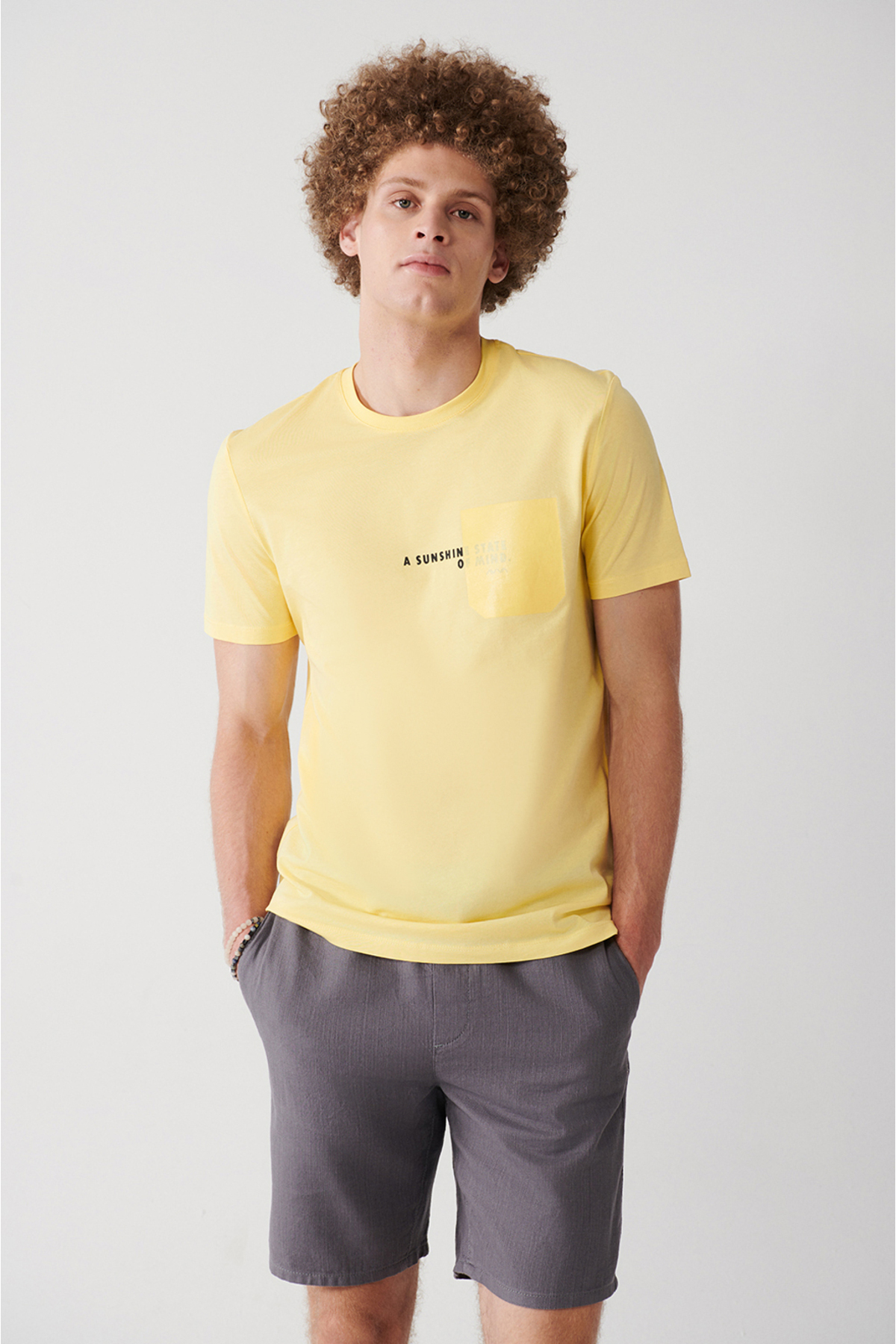 Levně Avva Men's Yellow 100% Cotton Crew Neck Pocket Printed Regular Fit T-shirt
