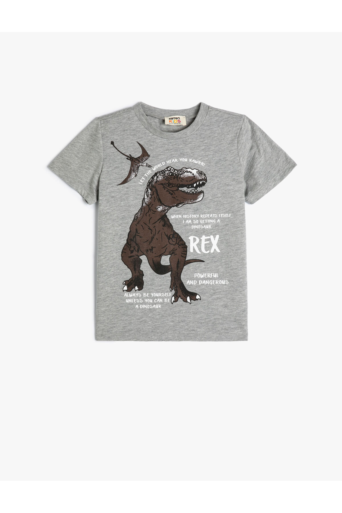Koton Dinosaur T-Shirt Short Sleeve Crew Neck