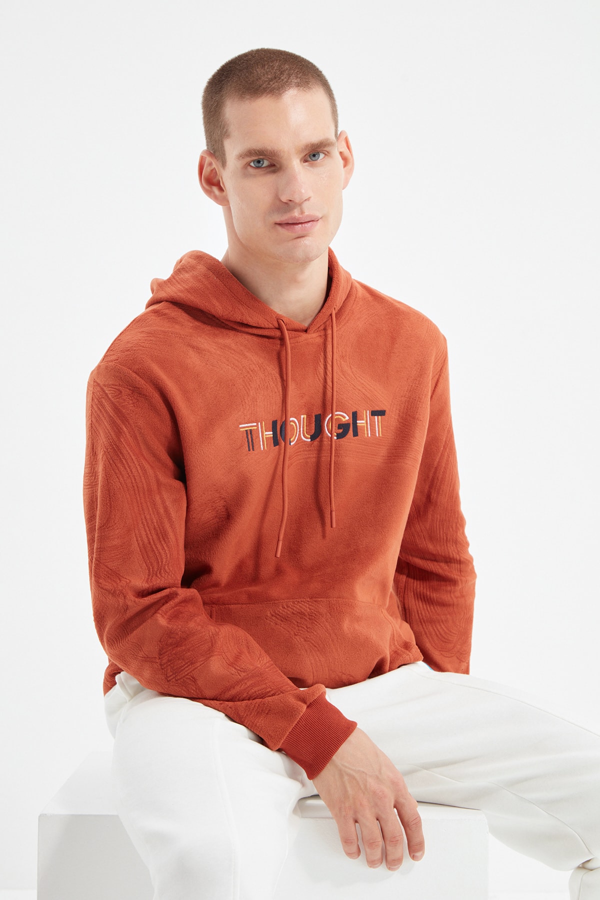 Levně Trendyol Men's Regular/Normal Fit Hoodie with Embroidery and Warm Thick Fleece/Plush Sweatshirt.