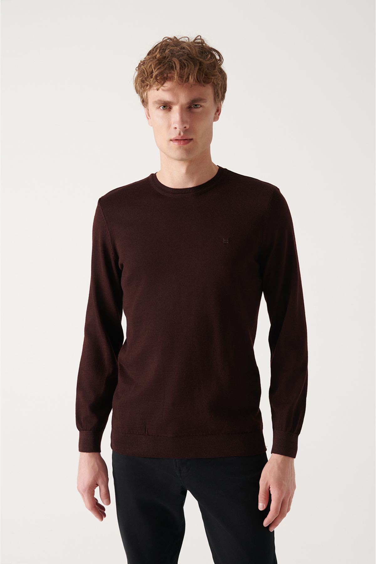 Avva Men's Burgundy Crew Neck Wool Blended Standard Fit Normal Cut Knitwear Sweater
