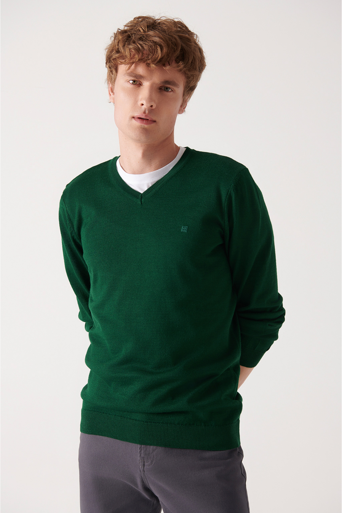 Levně Avva Men's Green V-Neck Wool Blend Standard Fit Regular Cut Knitwear Sweater