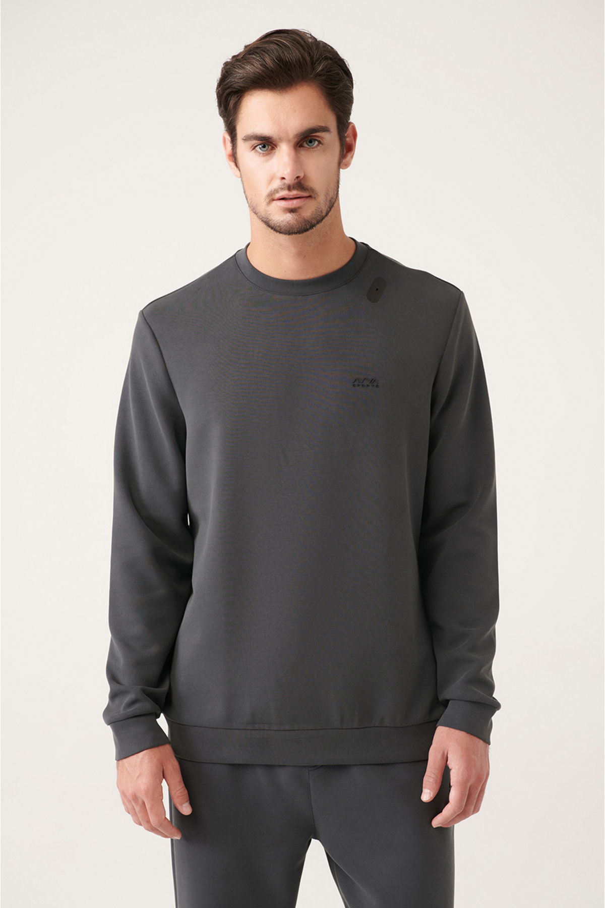 Avva Men's Anthracite Soft Touch Crew Neck Printed Comfort Fit Sweatshirt
