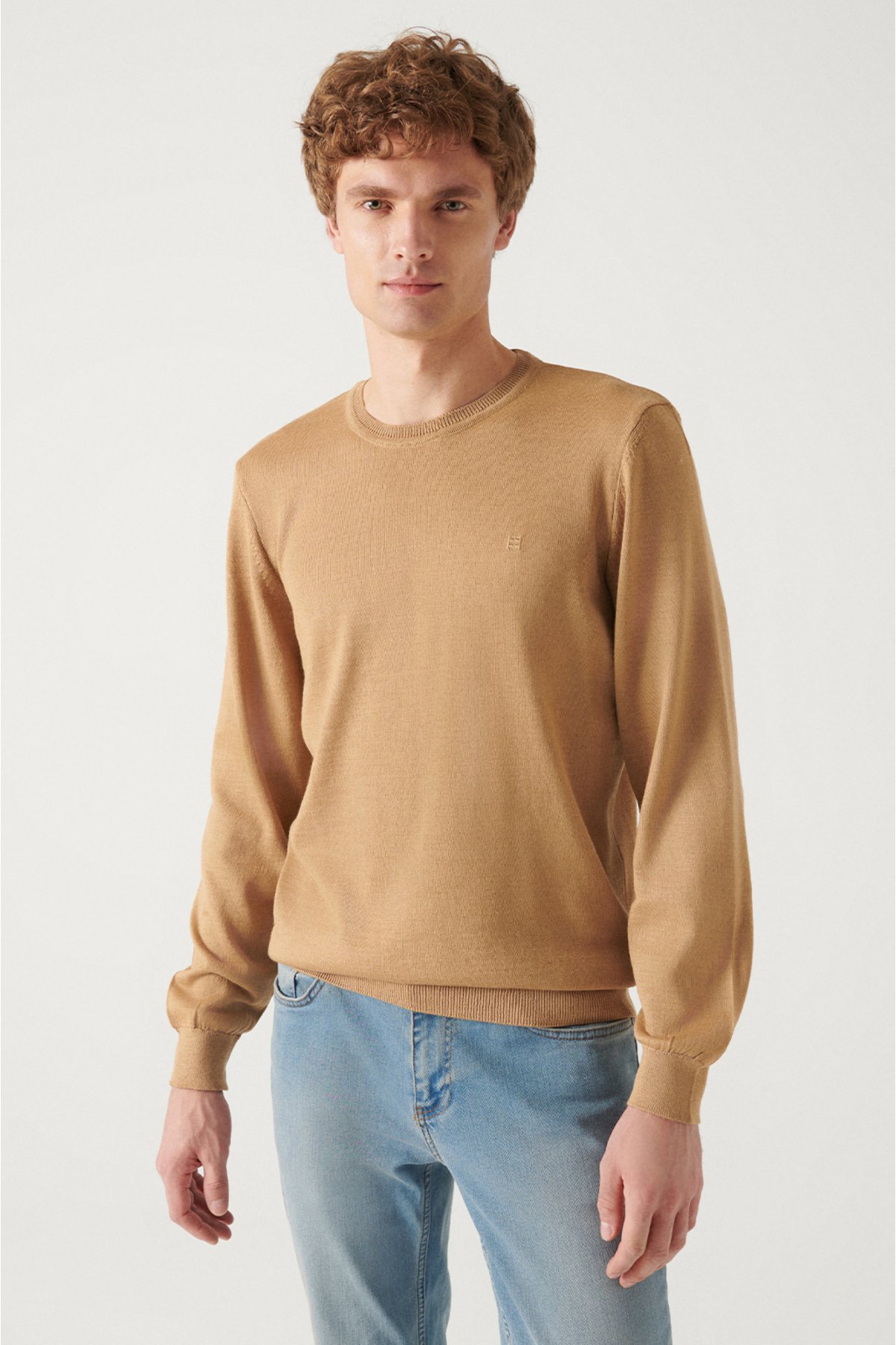 Avva Men's Beige Crew Neck Wool Blended Standard Fit Normal Cut Knitwear Sweater