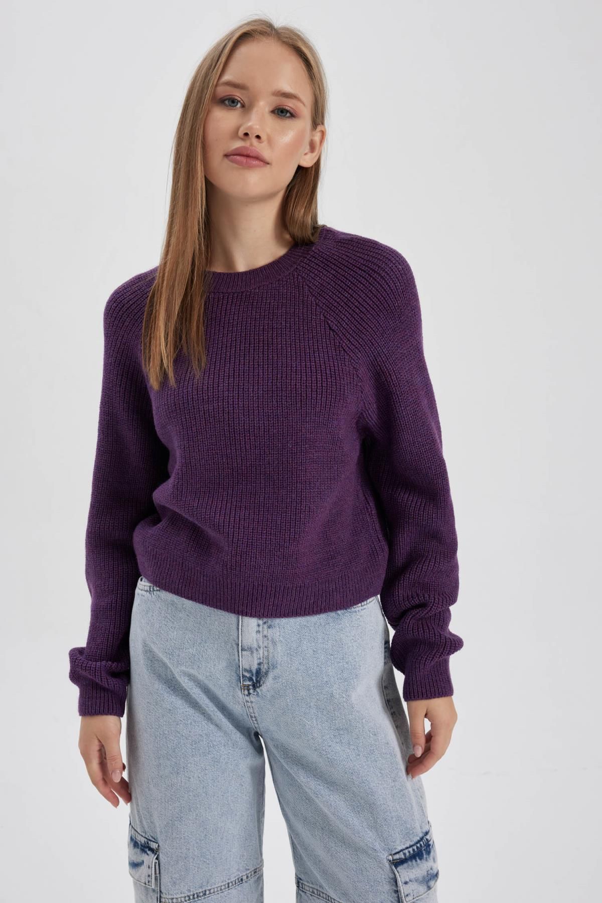 DEFACTO Cool Regular Fit Crew Neck Basic Sweater