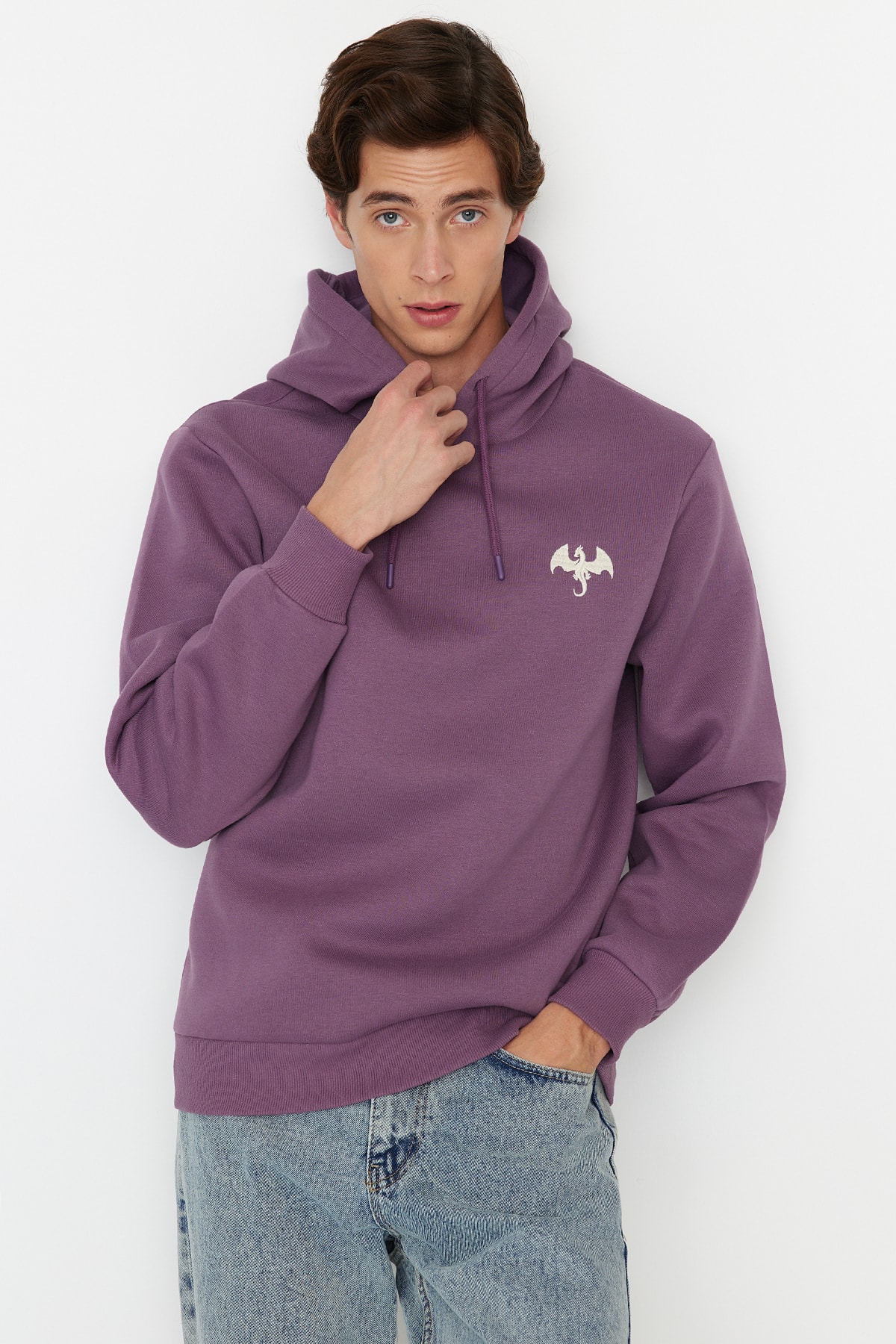 Trendyol Lilac Men's Regular/Real Cut Animal Embroidered Fleece Inside Sweatshirt