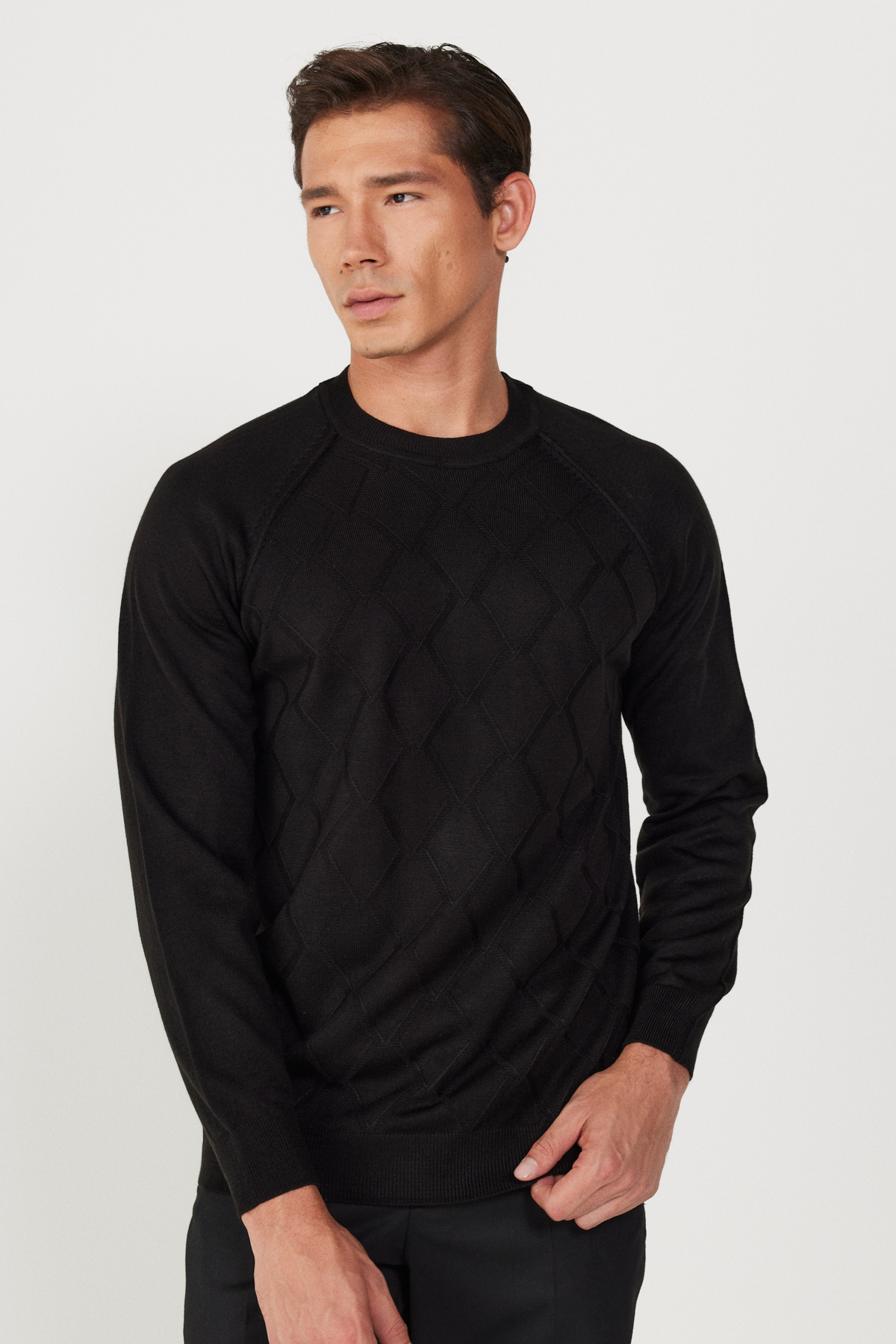 ALTINYILDIZ CLASSICS Men's Black Standard Fit Regular Fit Crew Neck Jacquard Knitwear Sweater