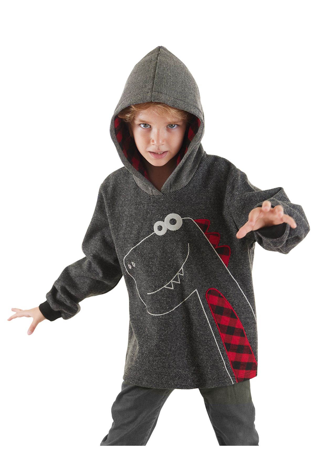 Denokids Dino Boy Hooded Sweatshirt