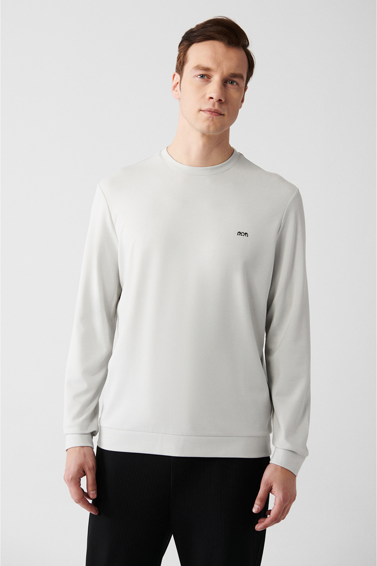 Levně Avva Men's Gray Interlock Fabric Crew Neck Printed Standard Fit Regular Fit Sweatshirt