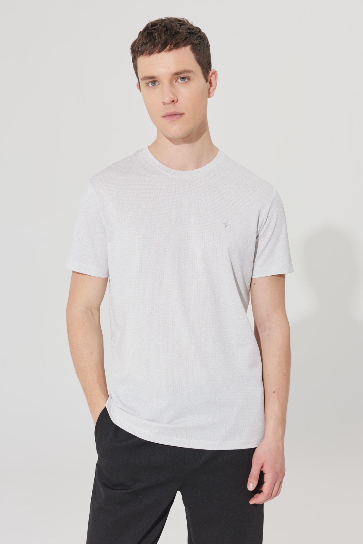 Levně AC&Co / Altınyıldız Classics Men's Grey-white Easy-Iron Slim Fit Slim Fit Crew Neck Jacquard T-Shirt