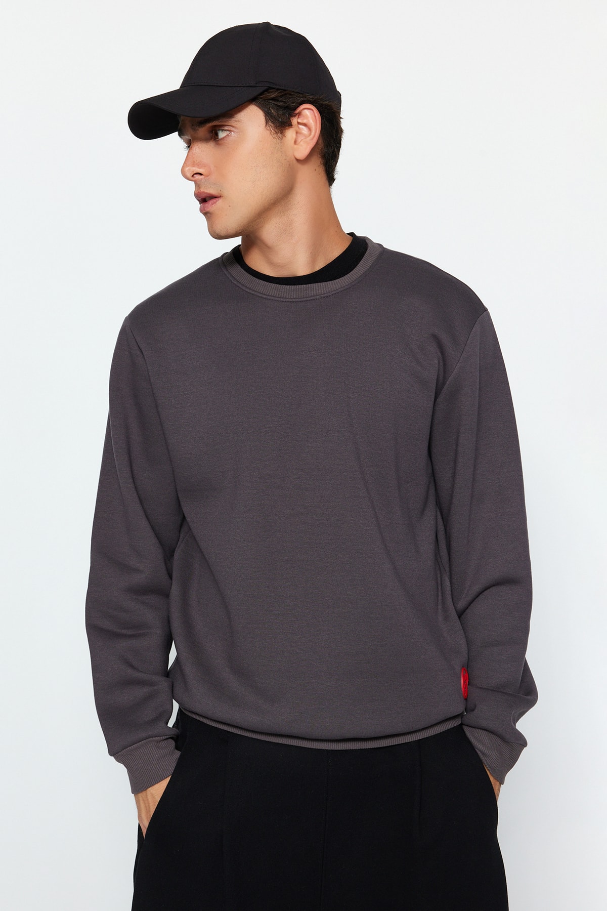 Levně Trendyol Anthracite Regular/Normal Fit Silicone Label Detail Fleece Inside Sweatshirt
