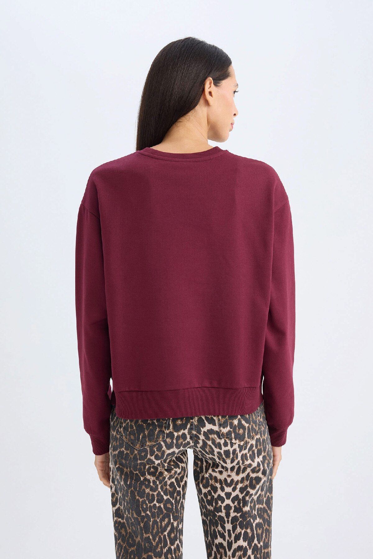 DEFACTO Regular Fit Crew Neck Printed Thin Sweatshirt