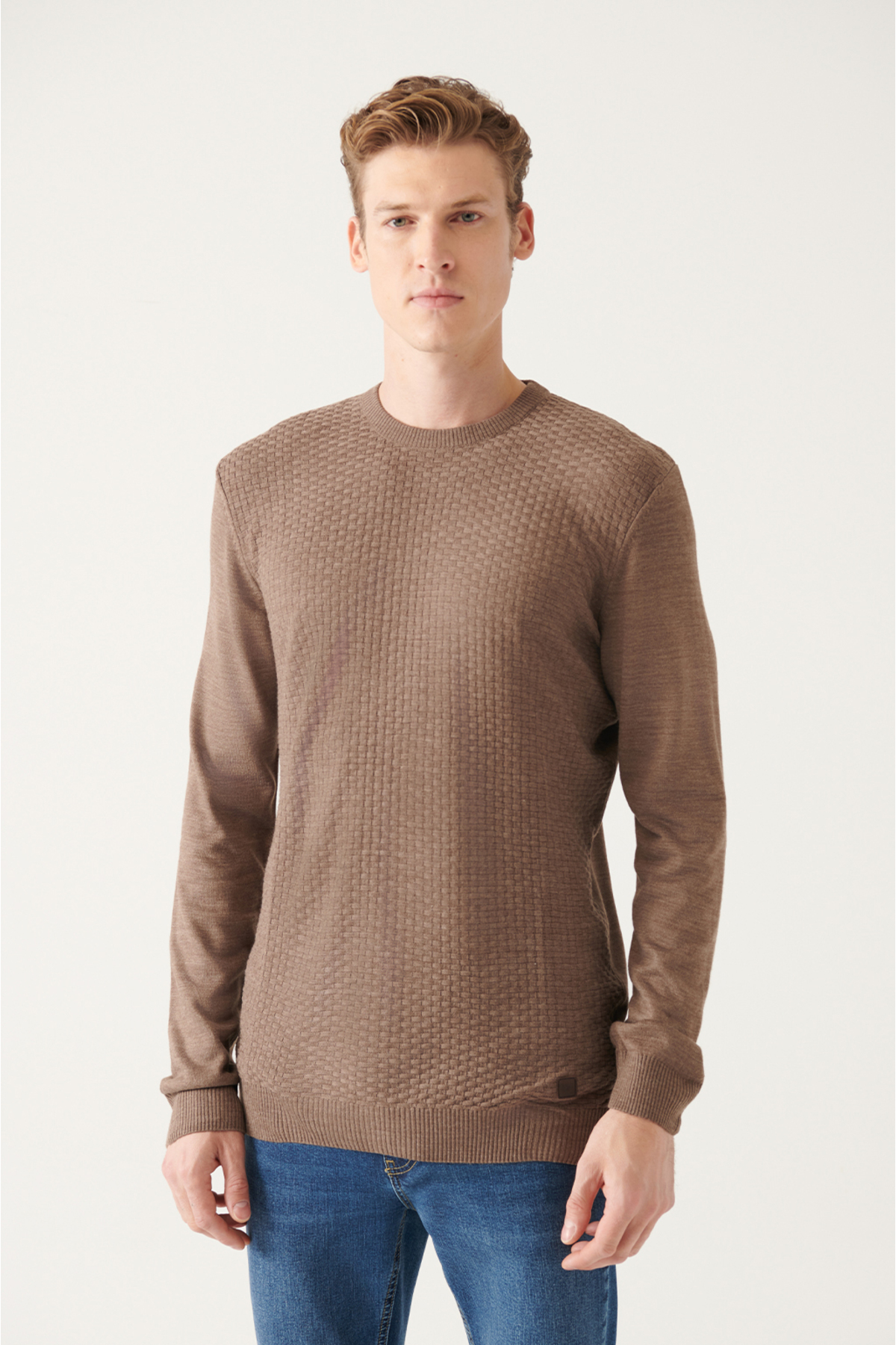 Avva Men's Mink Crew Neck Front Textured Standard Fit Normal Cut Knitwear Sweater
