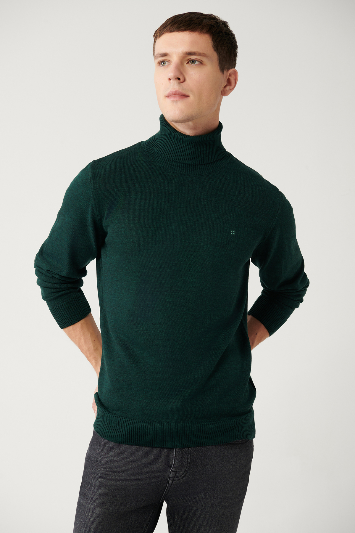 Levně Avva Green Unisex Knitwear Sweater Full Turtleneck Non Pilling Regular Fit