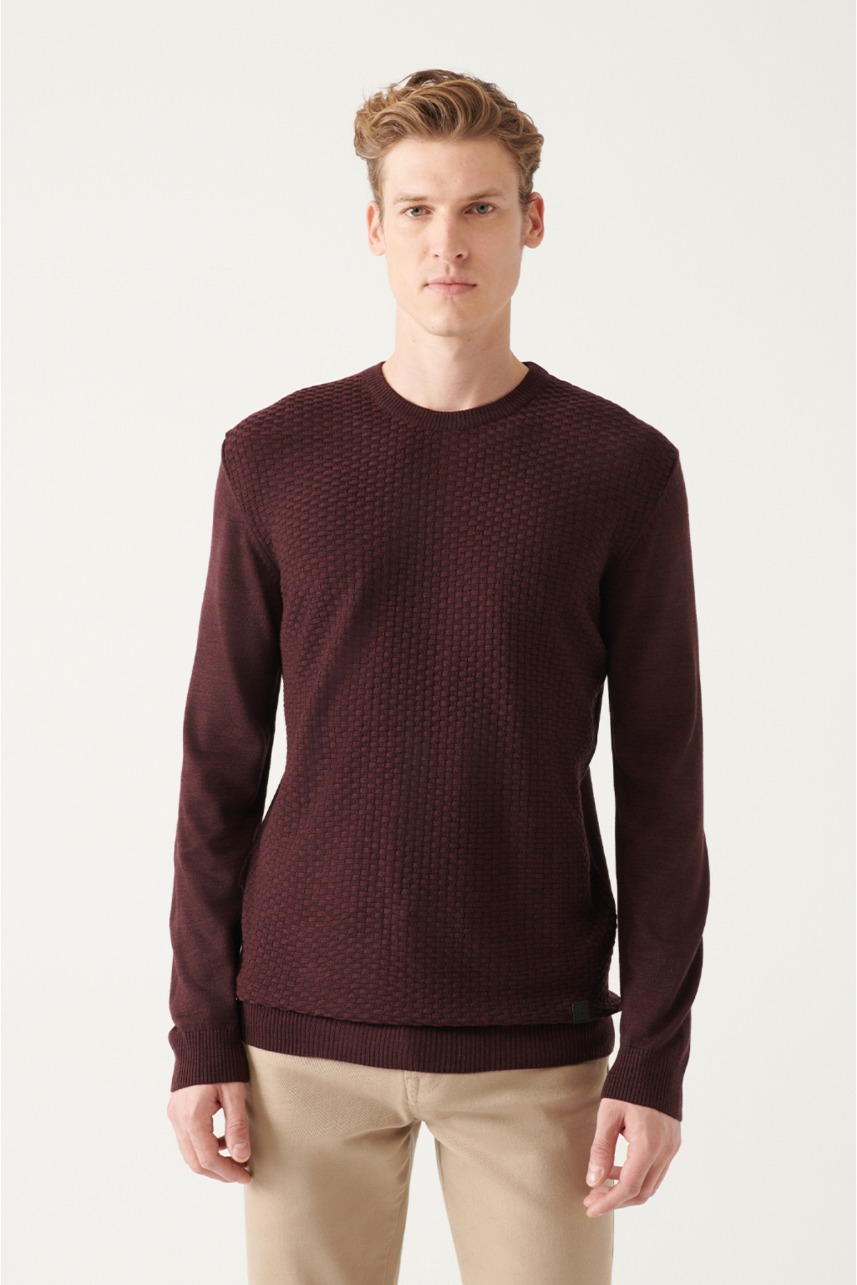 Levně Avva Men's Burgundy Crew Neck Front Textured Regular Fit Knitwear Sweater