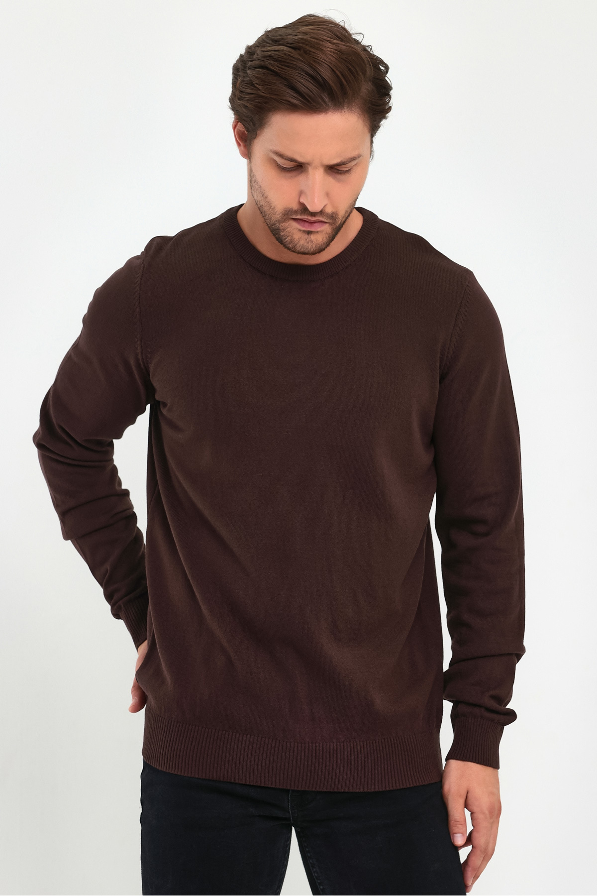 Lafaba Men's Brown Crew Neck Basic Knitwear Sweater