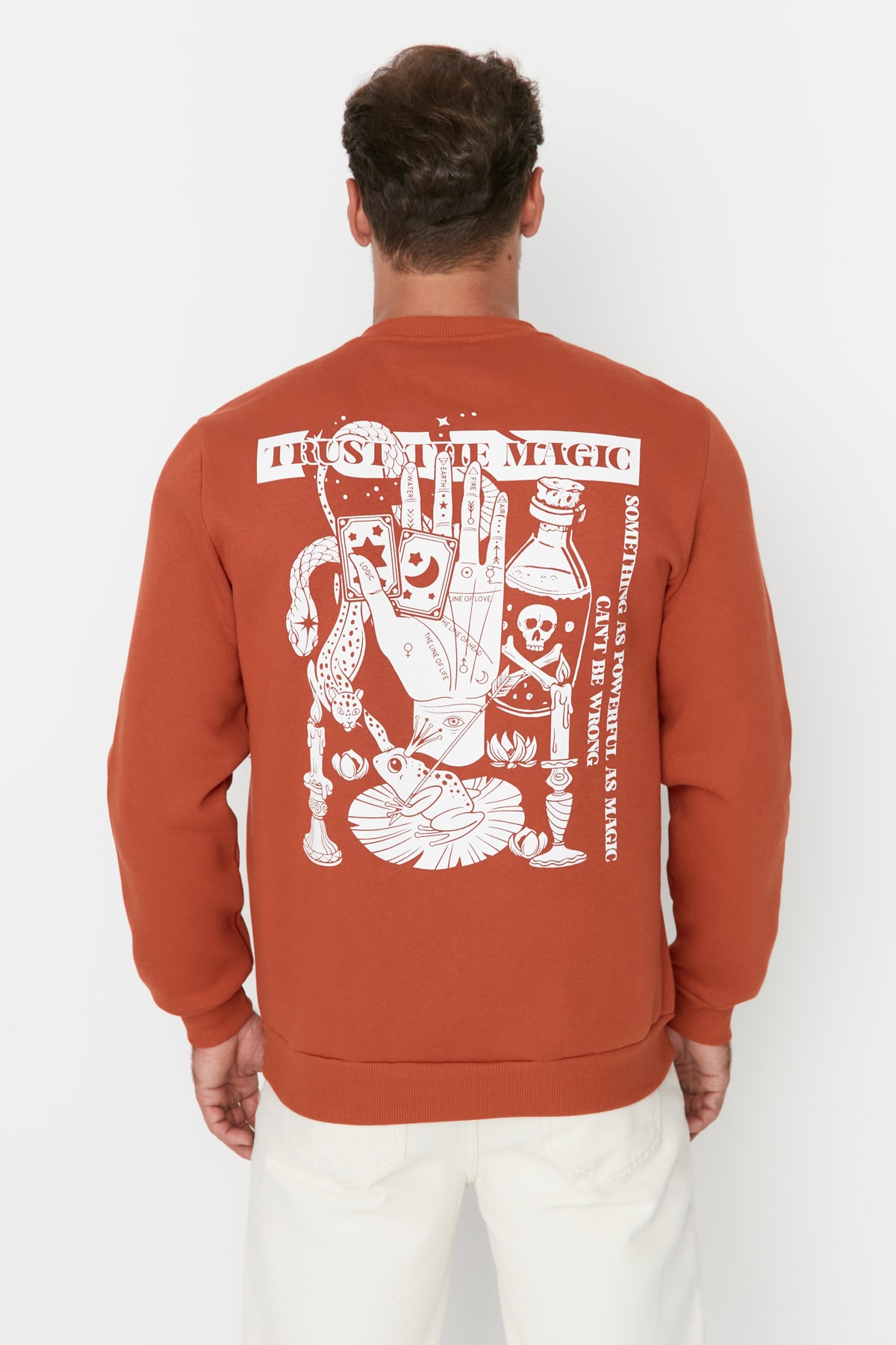 Trendyol Sweatshirt - Red - Regular fit