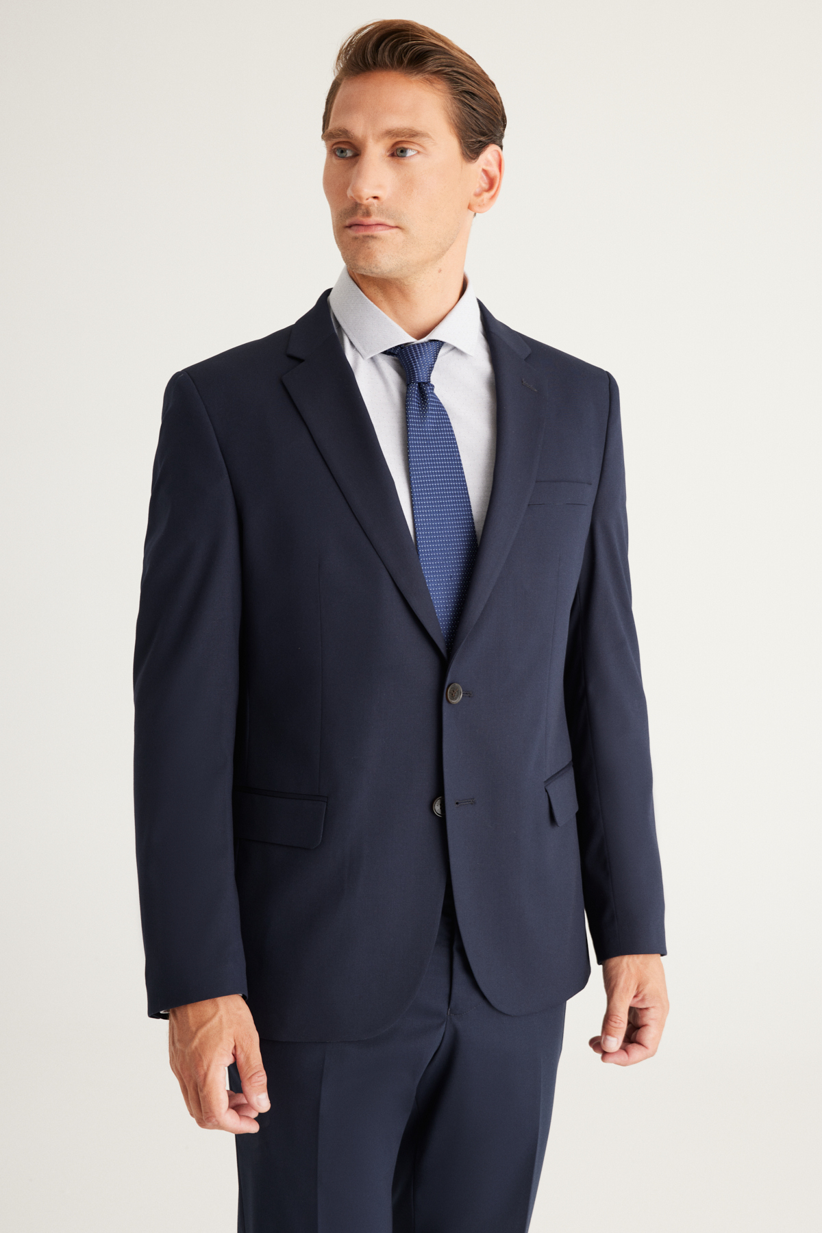 Levně ALTINYILDIZ CLASSICS Men's Navy Blue Regular Fit Comfortable Cut Mono Collar Suit