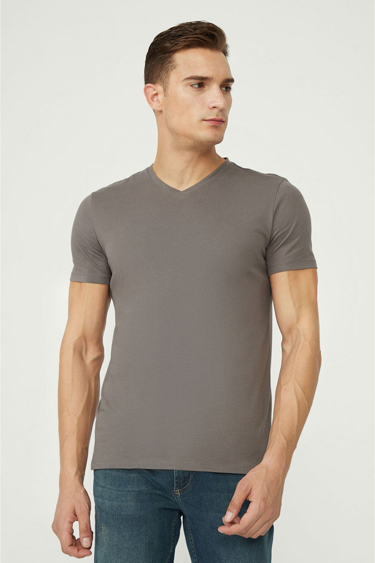Avva Men's Anthracite 100% Cotton V-Neck Standard Fit Regular Cut T-shirt