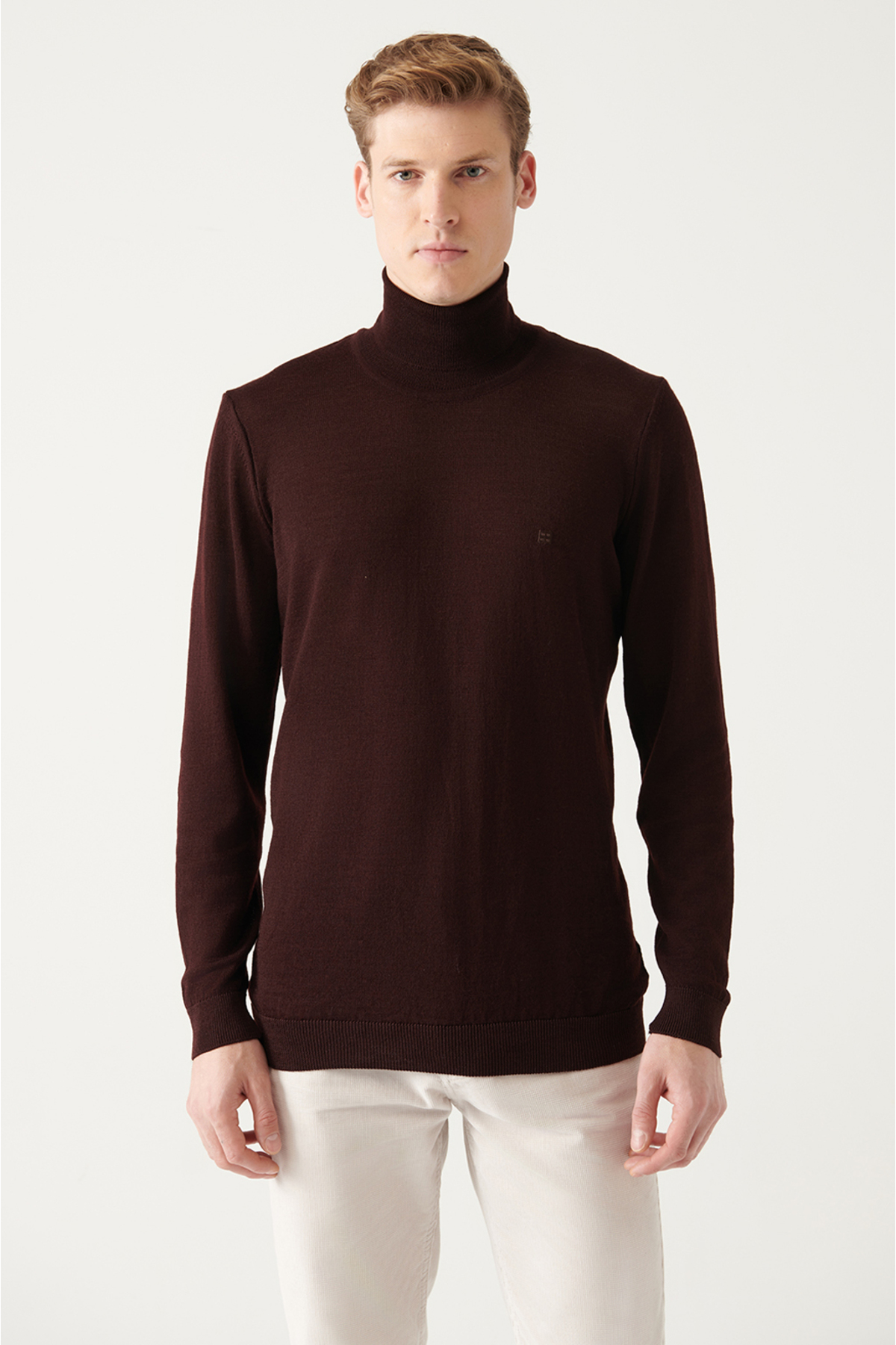 Levně Avva Men's Burgundy Full Turtleneck Wool Blended Regular Fit Knitwear Sweater