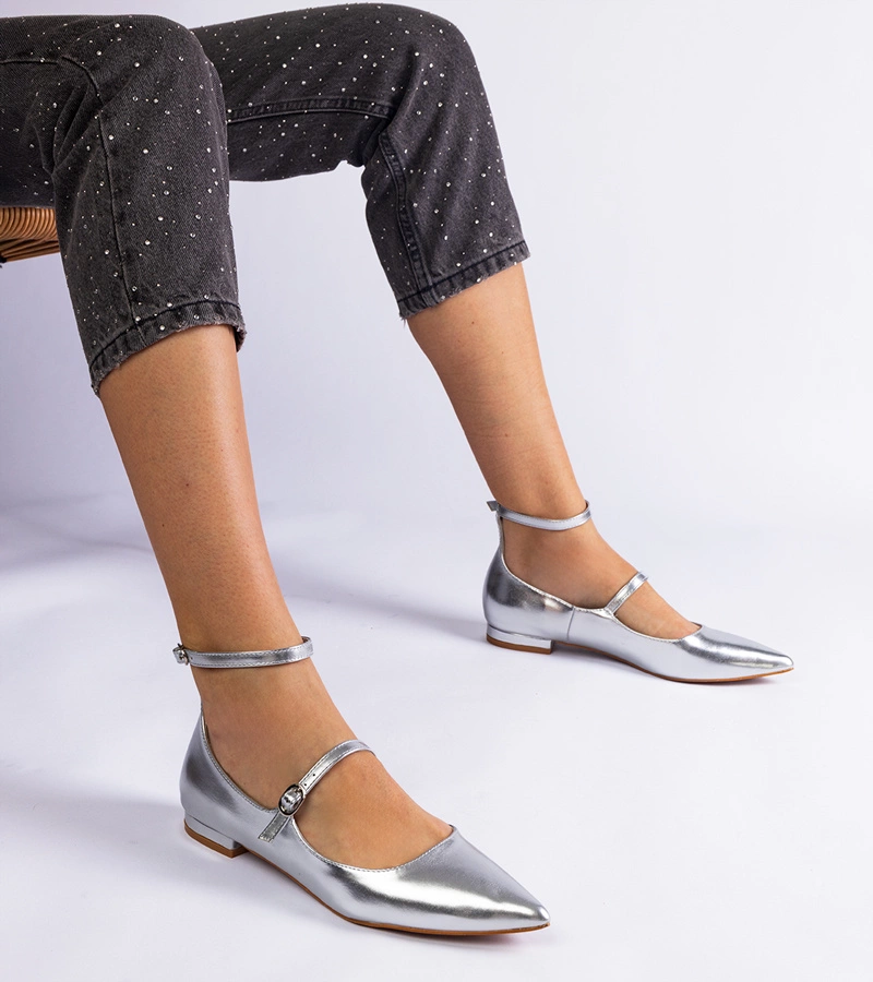 Gemre Pantofi argintii cu toc jos și catarame Ewerida