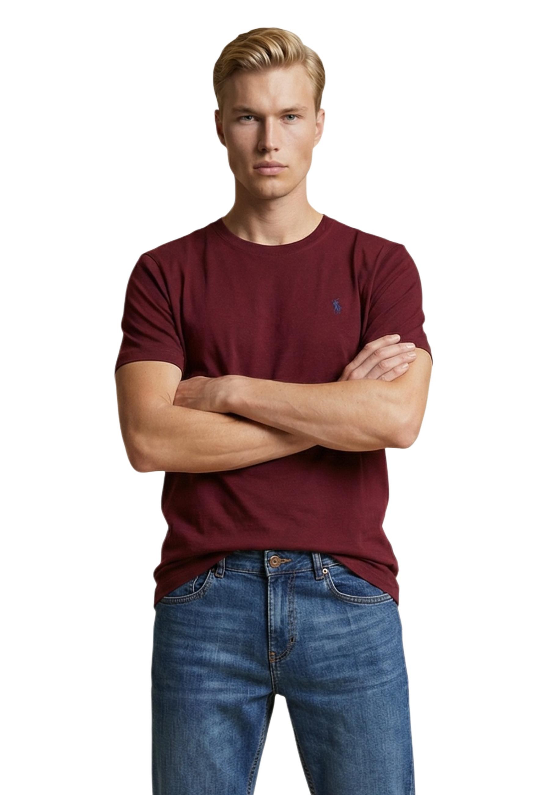 Мъжка тениска US Polo Assn.