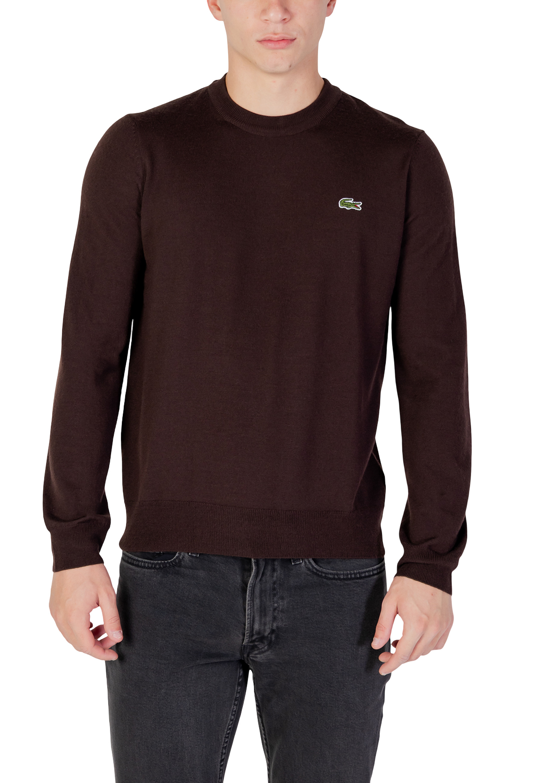 Мъжки пуловер Lacoste